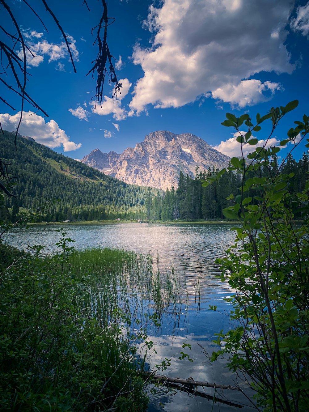 a lake surrounded by trees and mountains under a cloudy blue sky