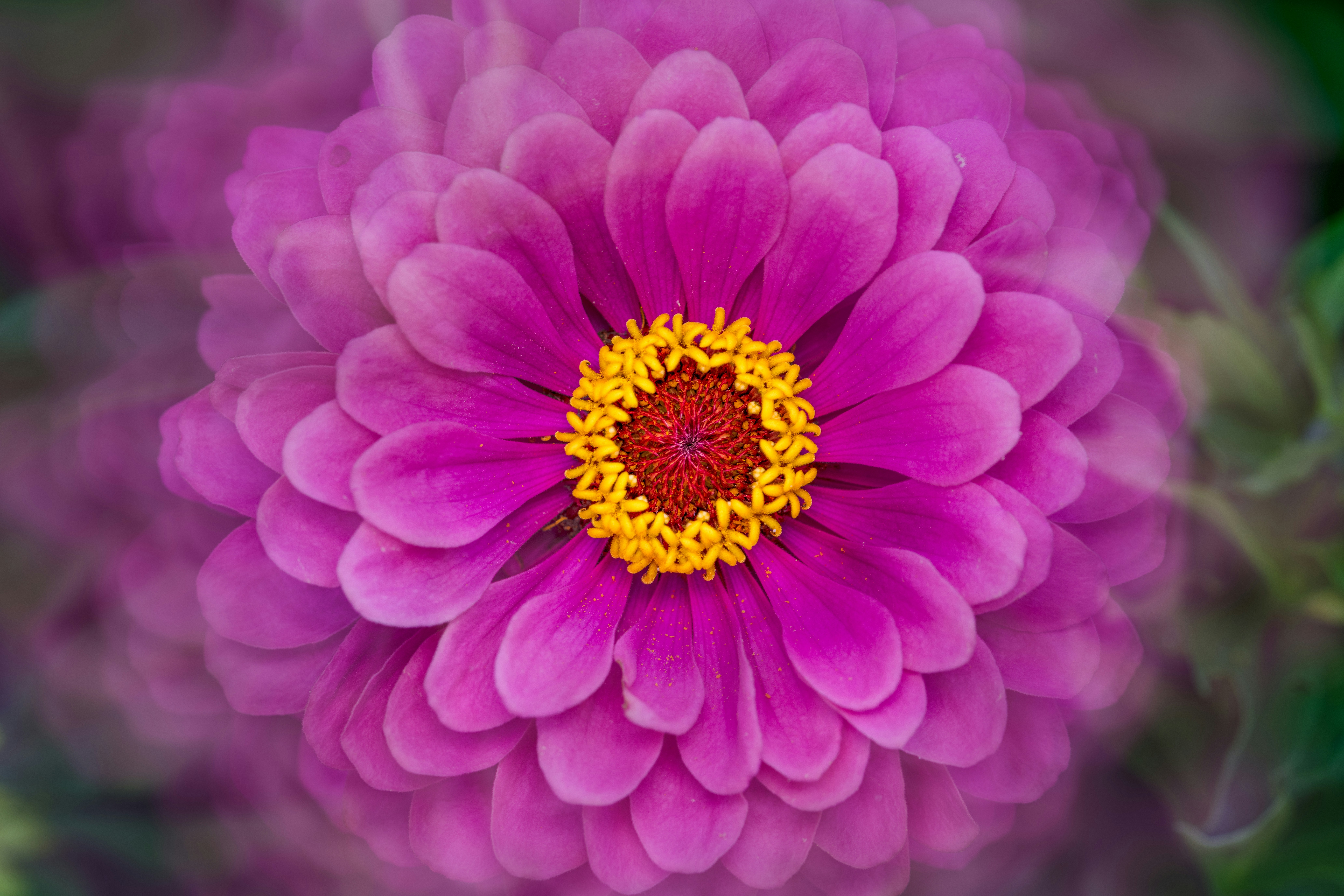 Photo by skylerewing