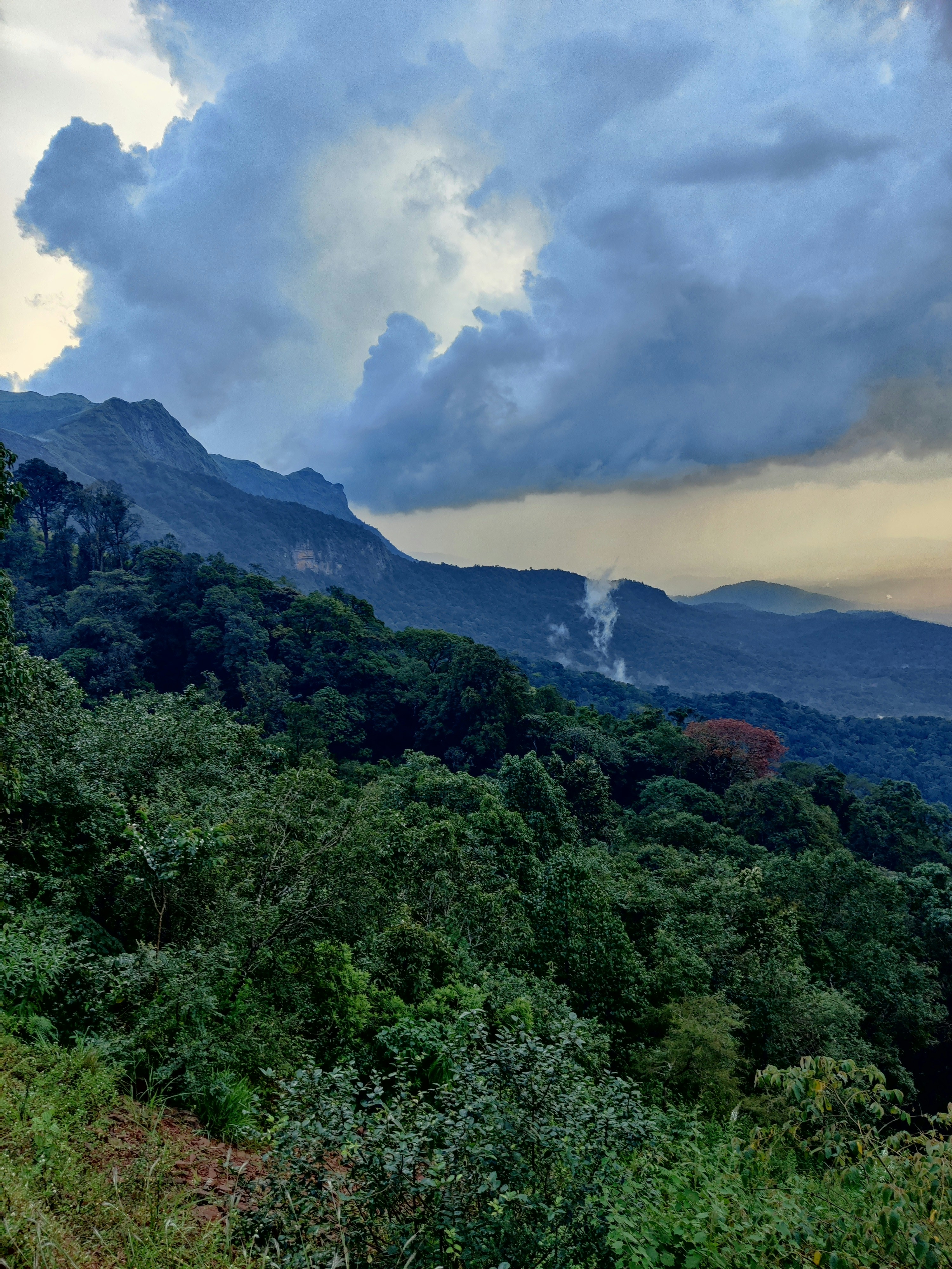 Scientific Discovery Continues (image credits: unsplash)