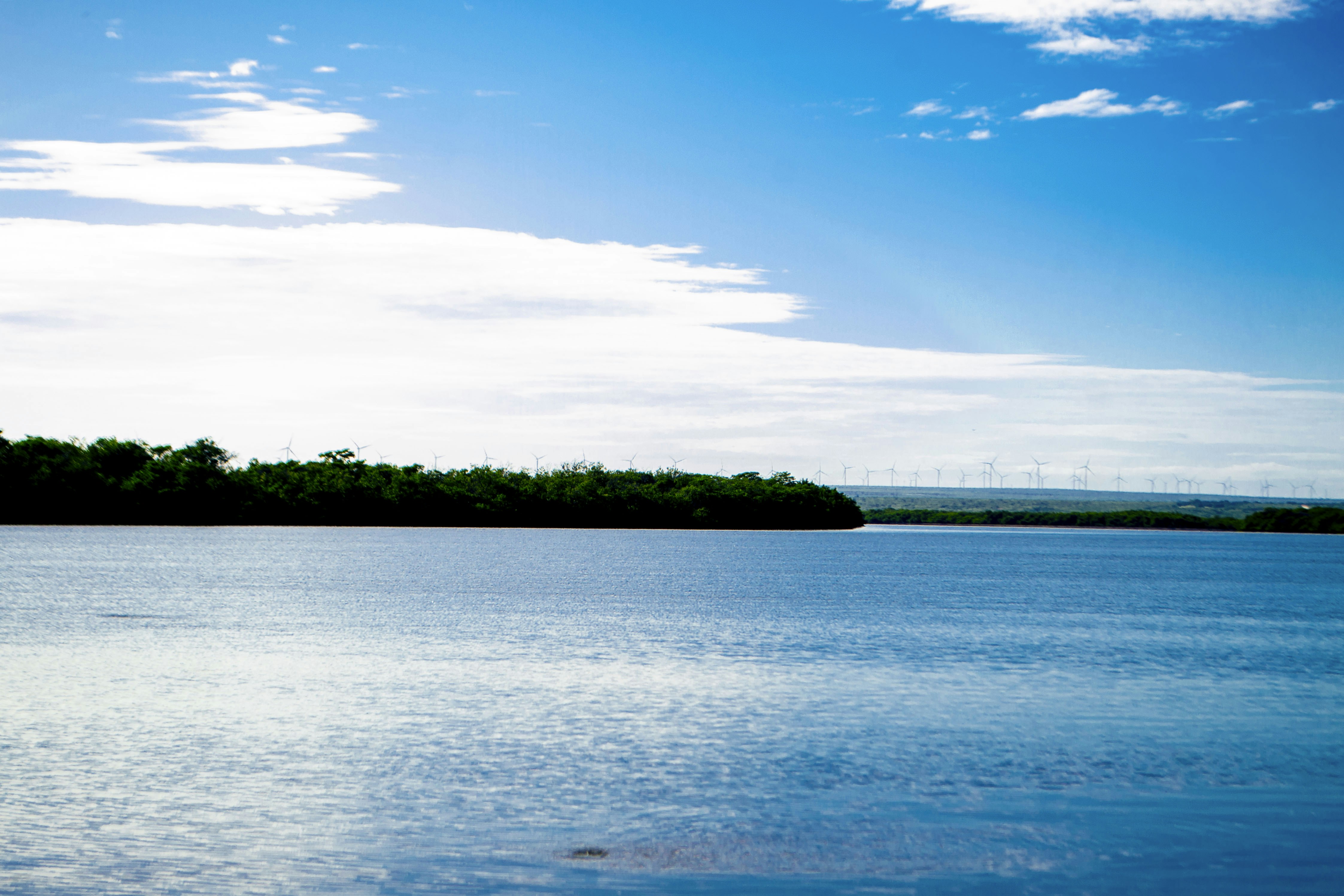 Photo by patriciosouza