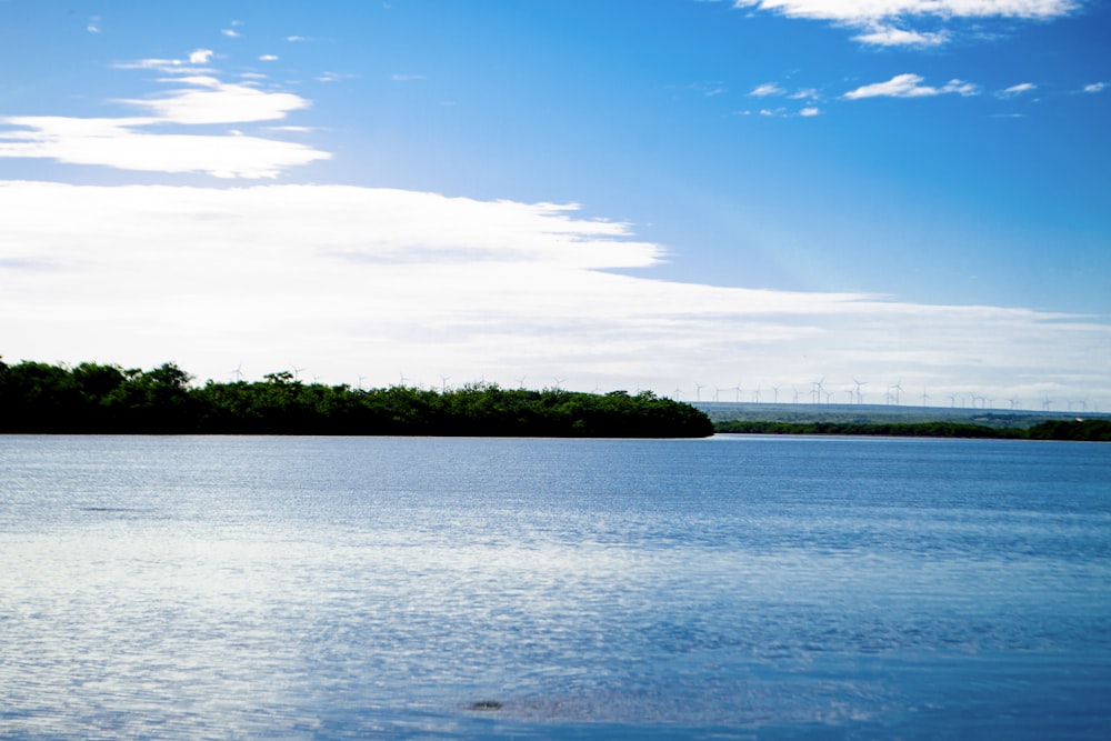 a large body of water with trees in the background