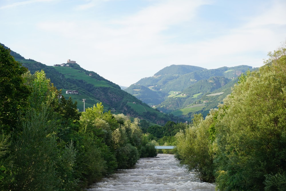 a river running through a lush green forest