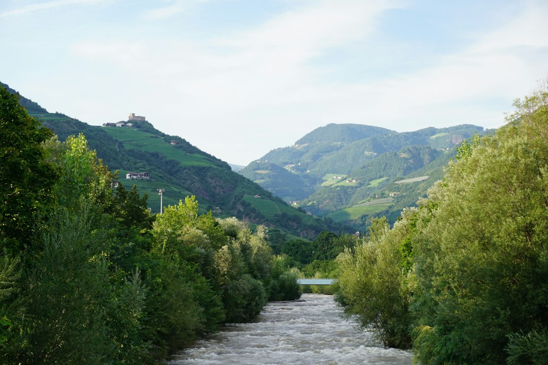 a river running through a lush green forest,