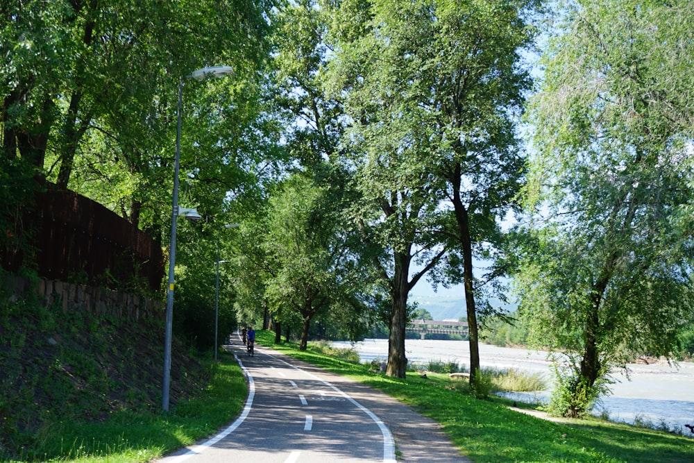 a paved road with trees lining the sides of it