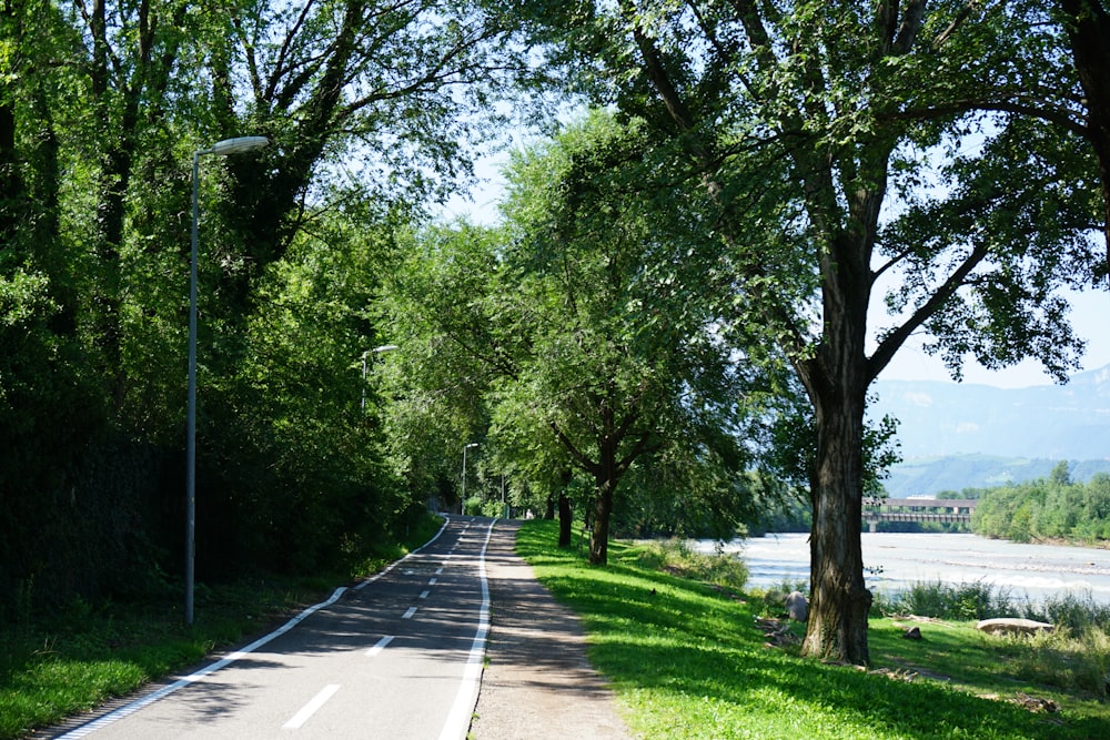 a road with trees on both sides and a river in the background