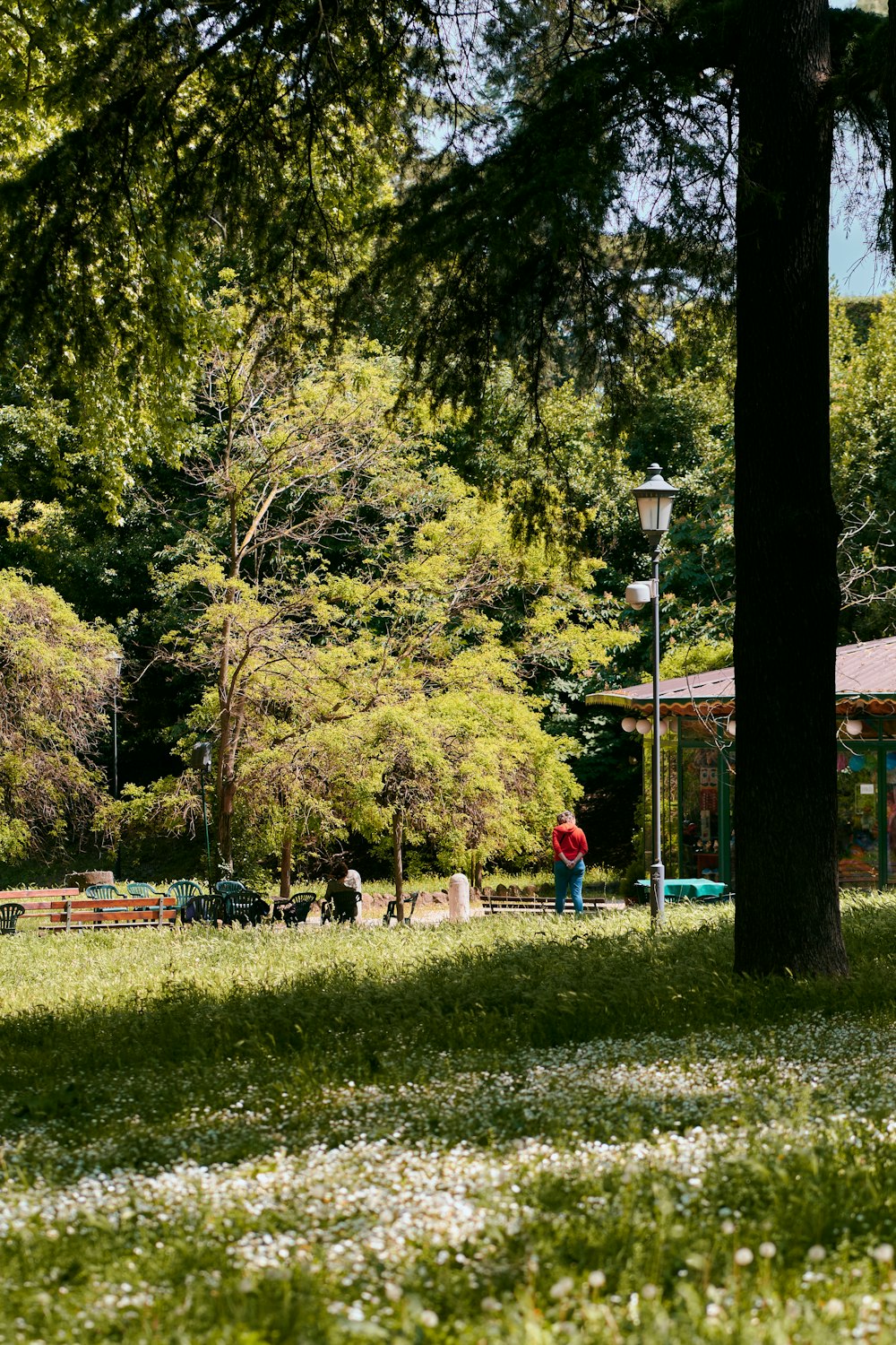 un'area parco con panchina e alberi