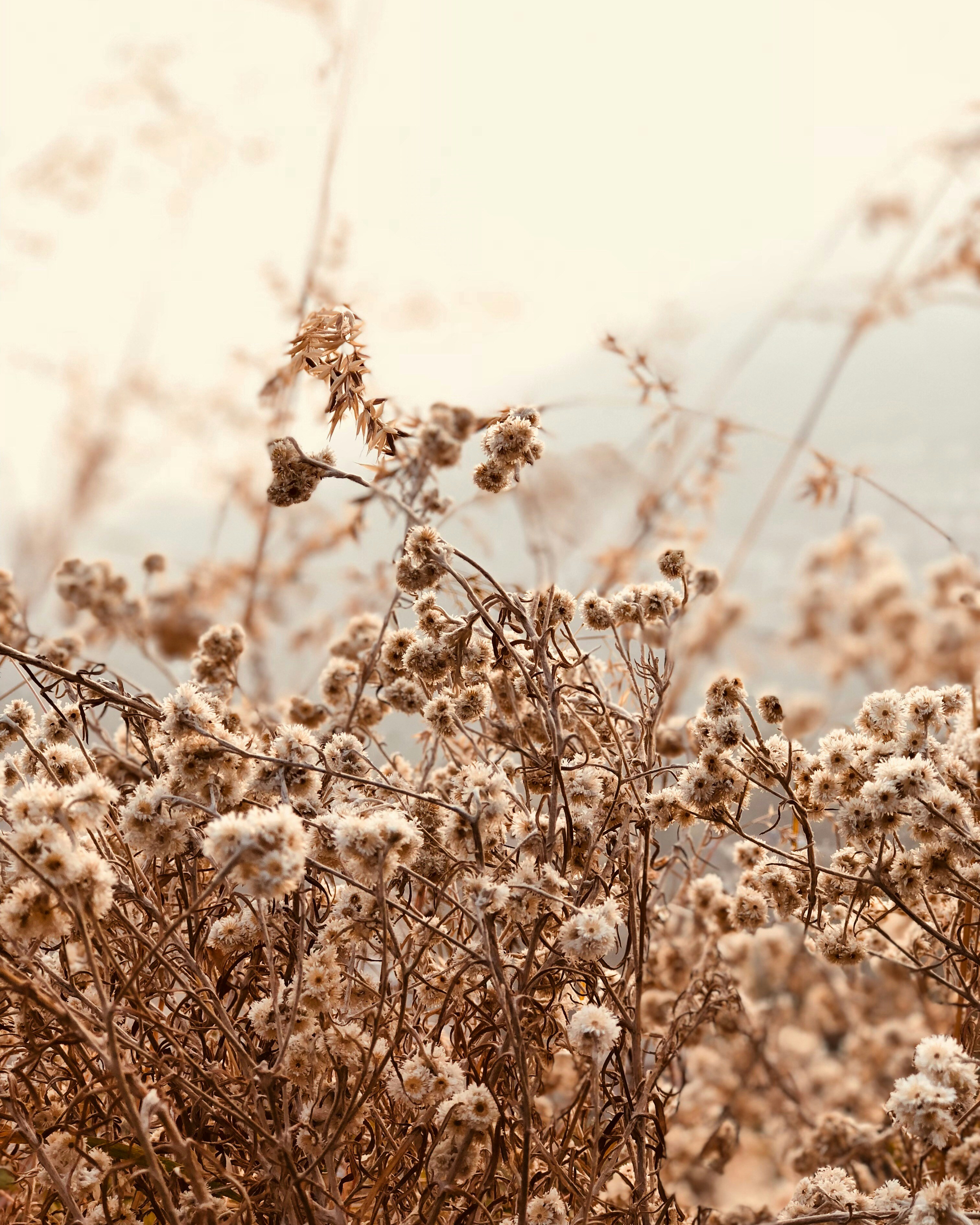 Photo by akvantage