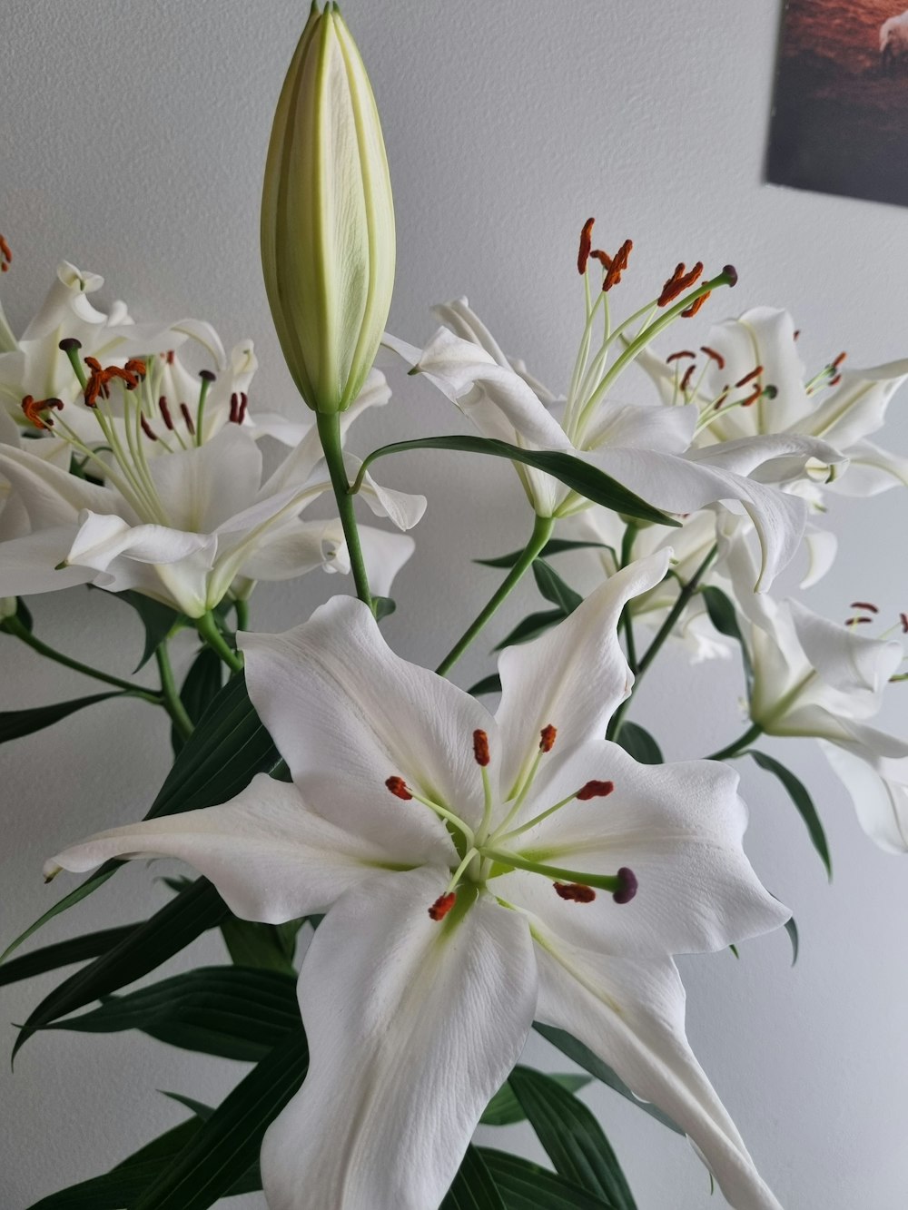 a vase filled with white flowers on top of a table