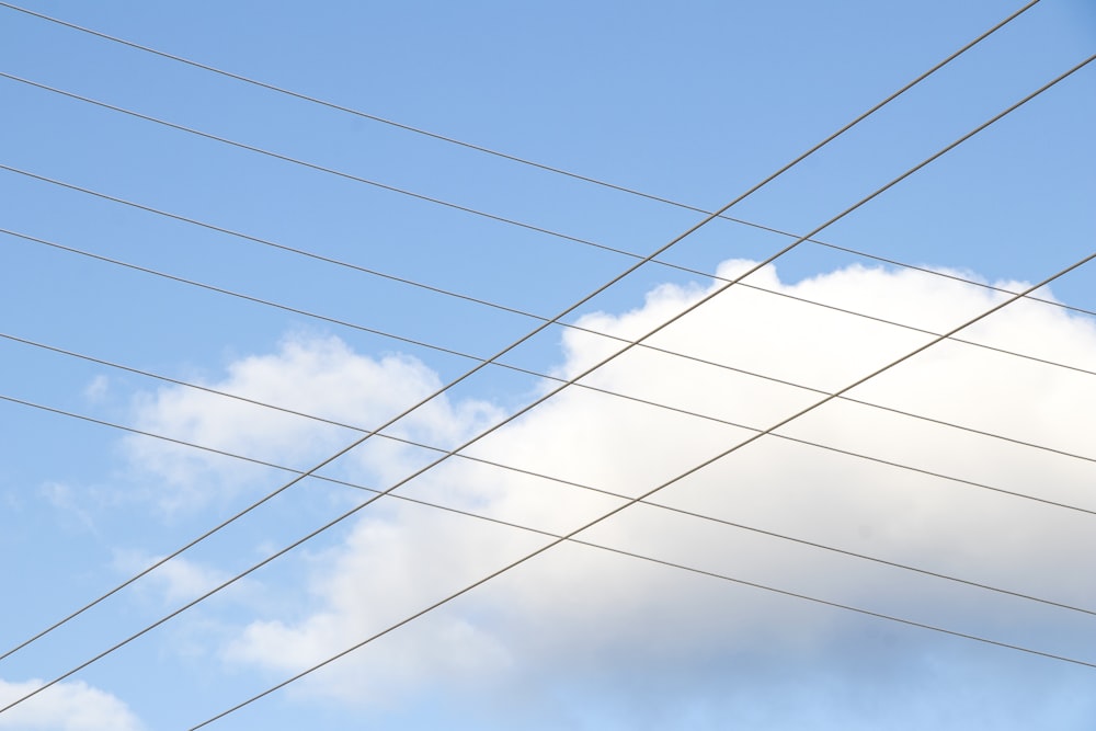 a bird sitting on top of a power line