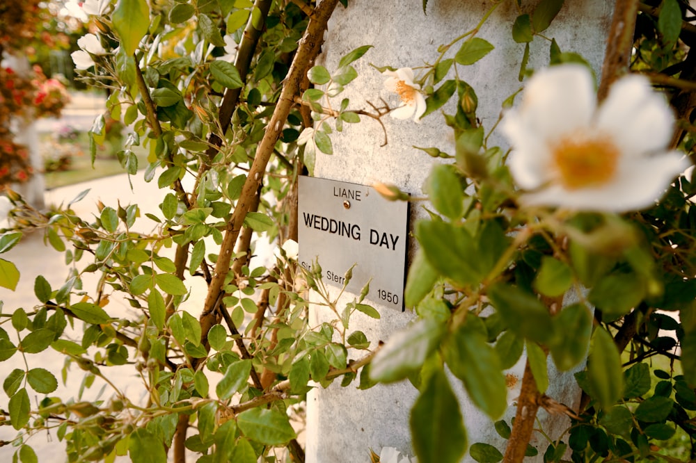 a sign on a stone wall that says wedding day