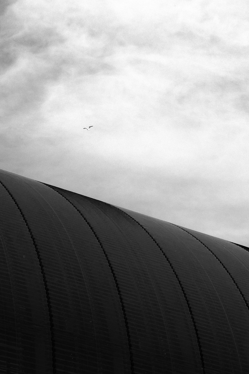 a black and white photo of a large building