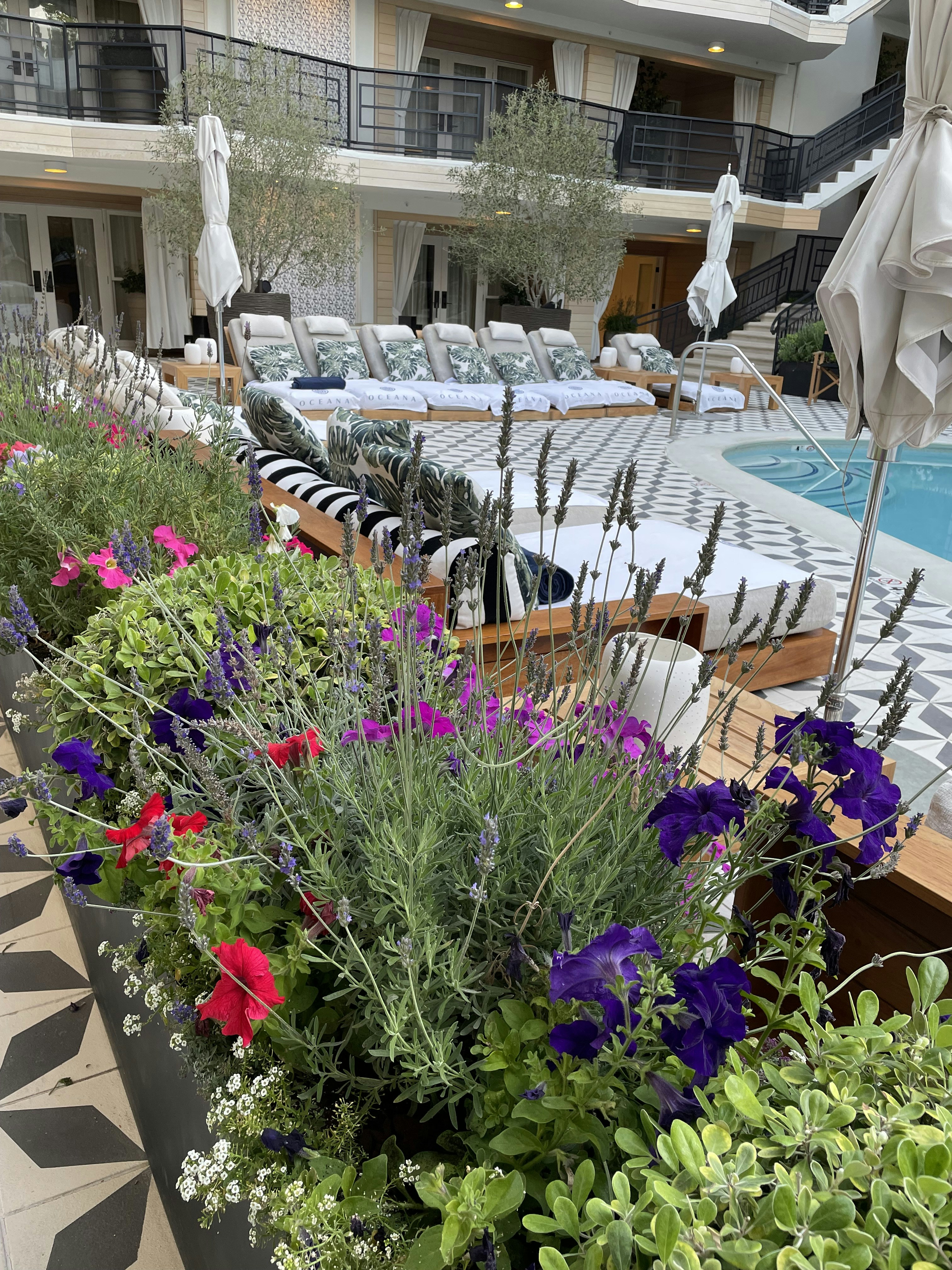 Photo by tonylong100