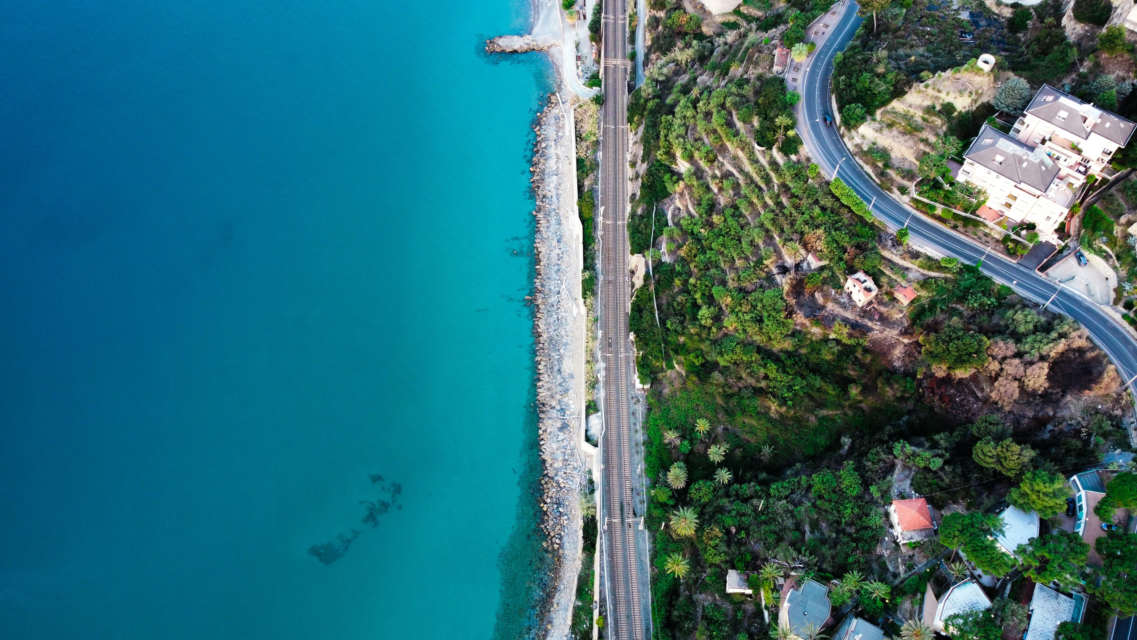 Photo by alecsandruubv