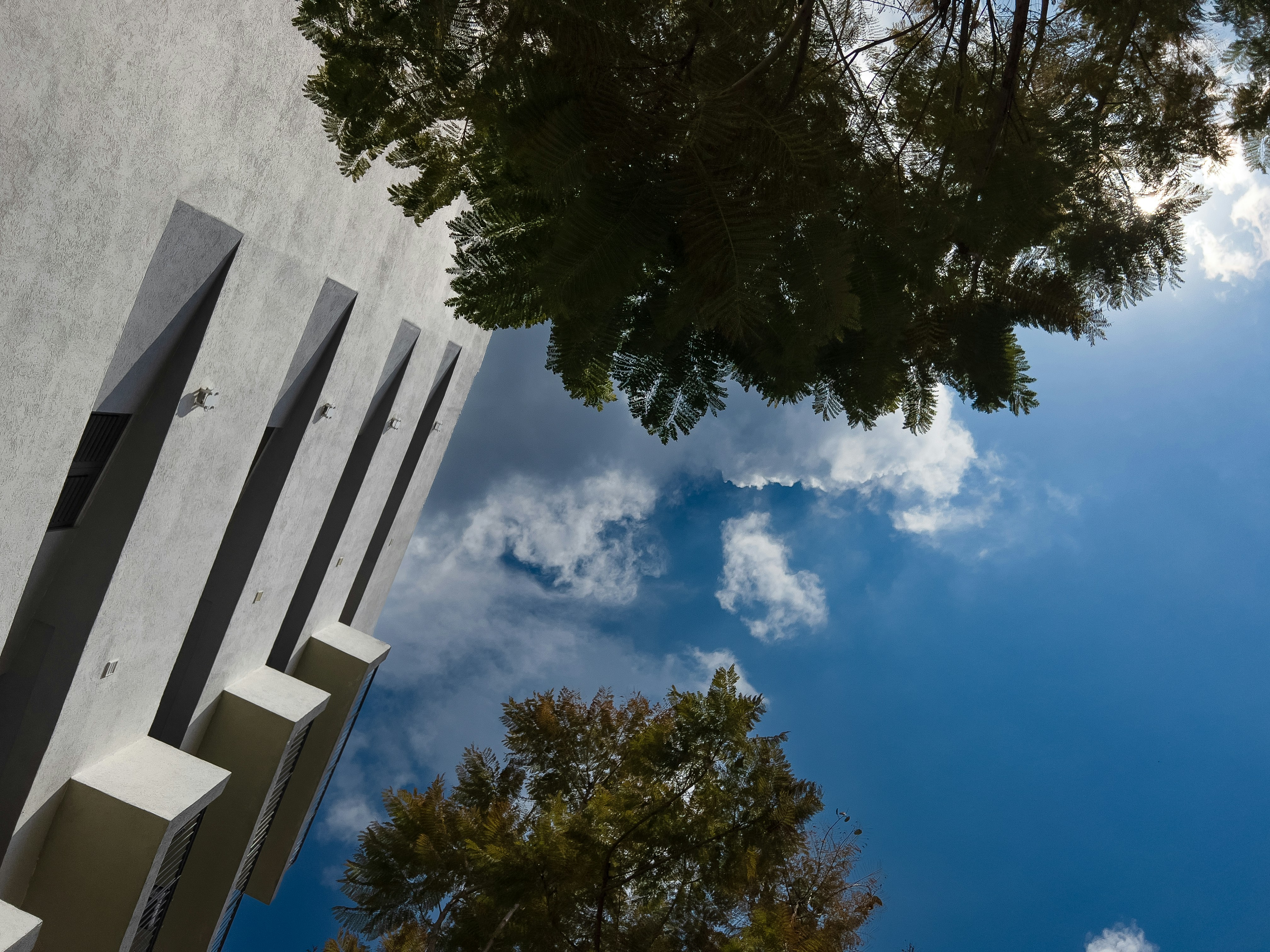 Photo by levimeirclancy