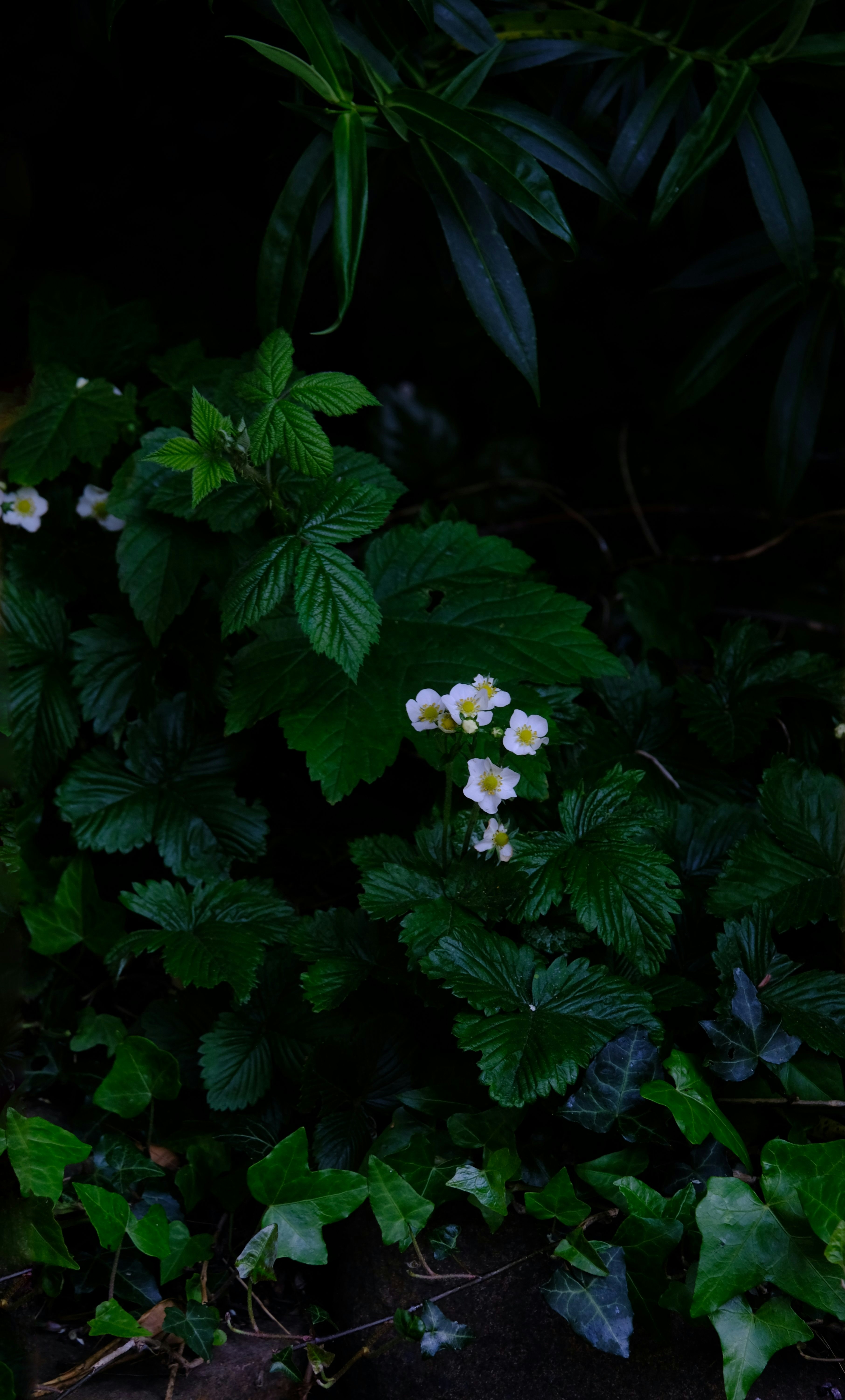 Photo by zaralazarov