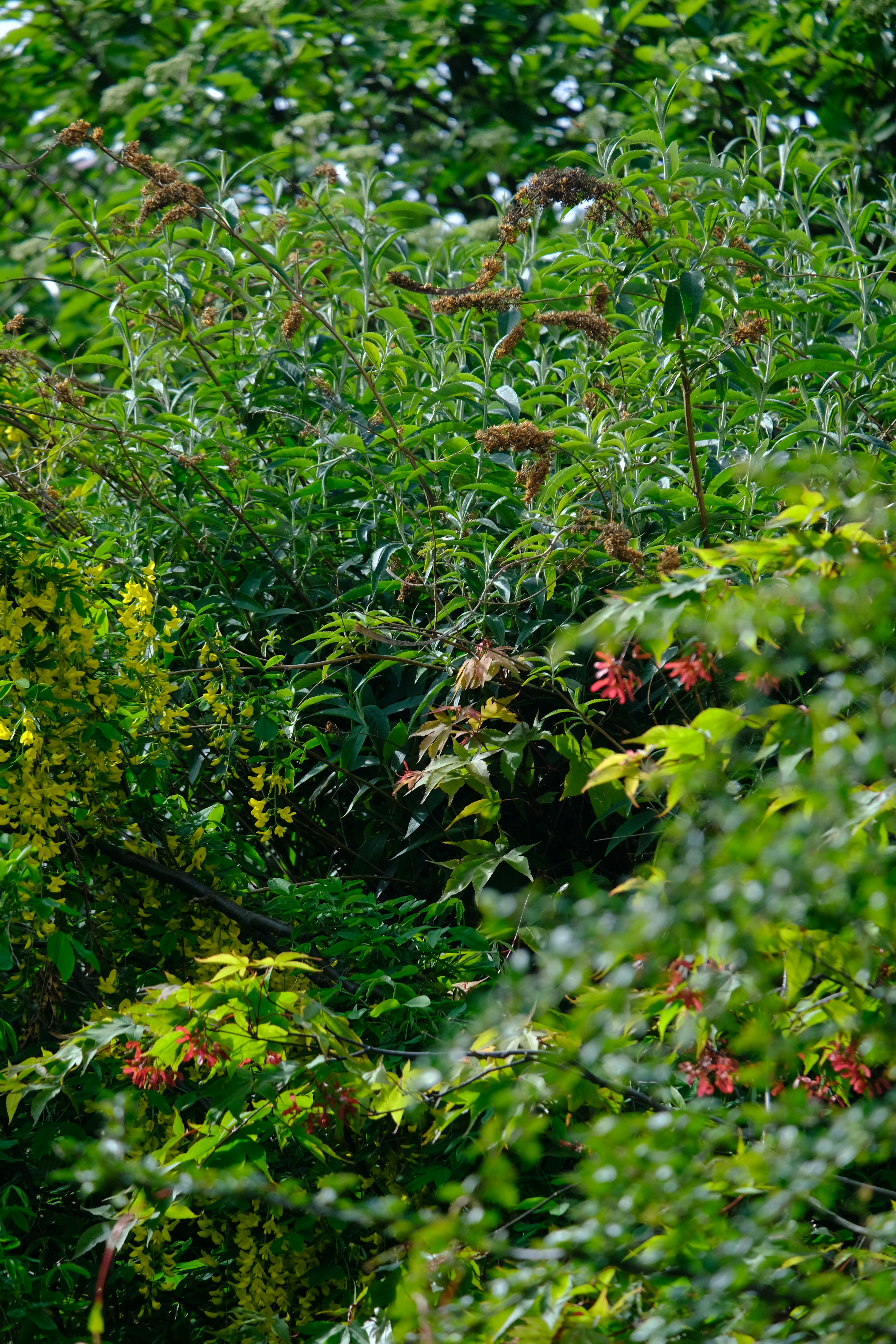 Photo by zaralazarov