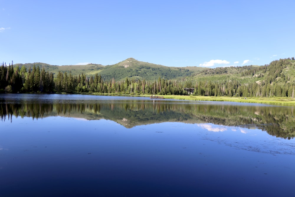 a large body of water surrounded by forest