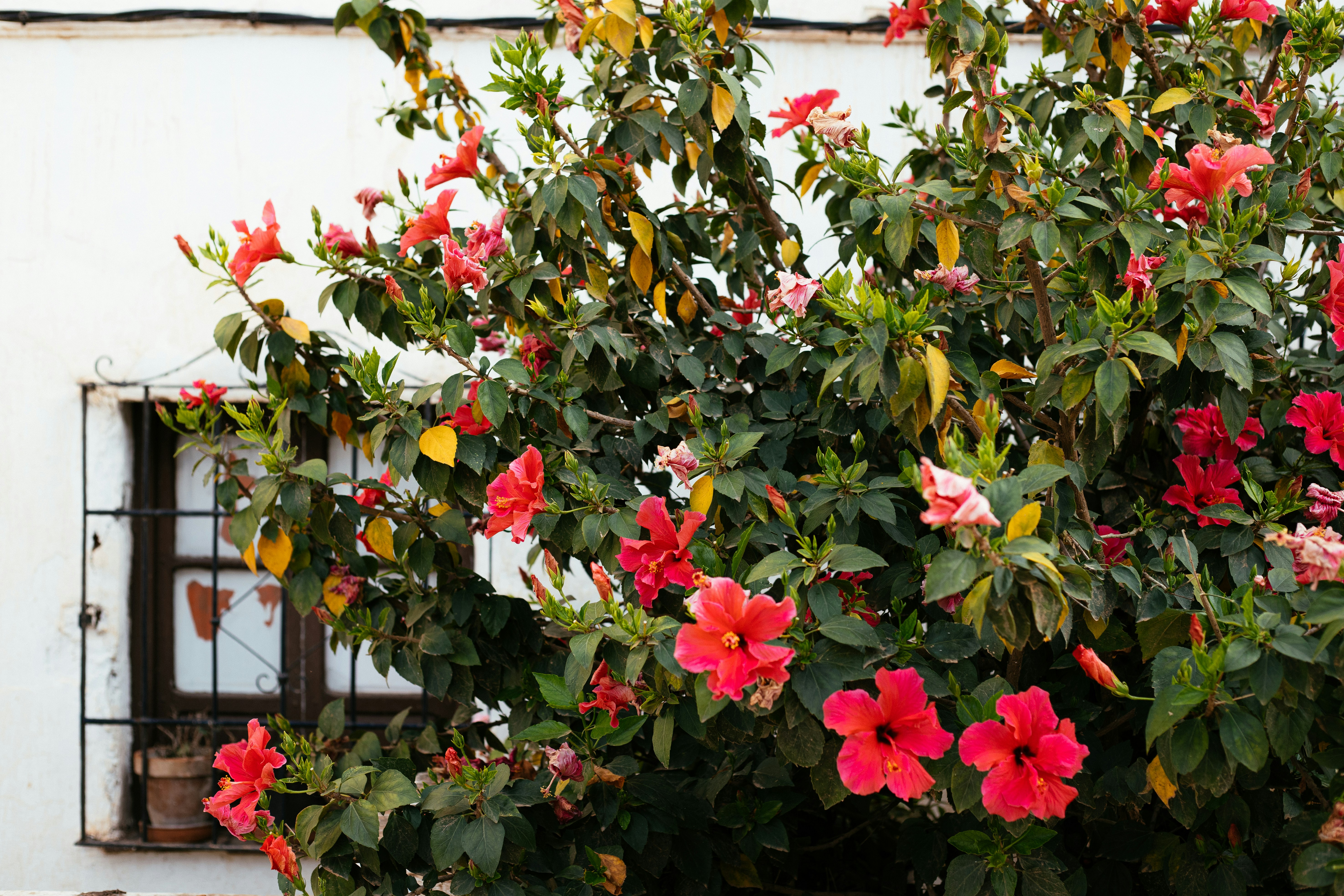 Photo by juliamatuzova