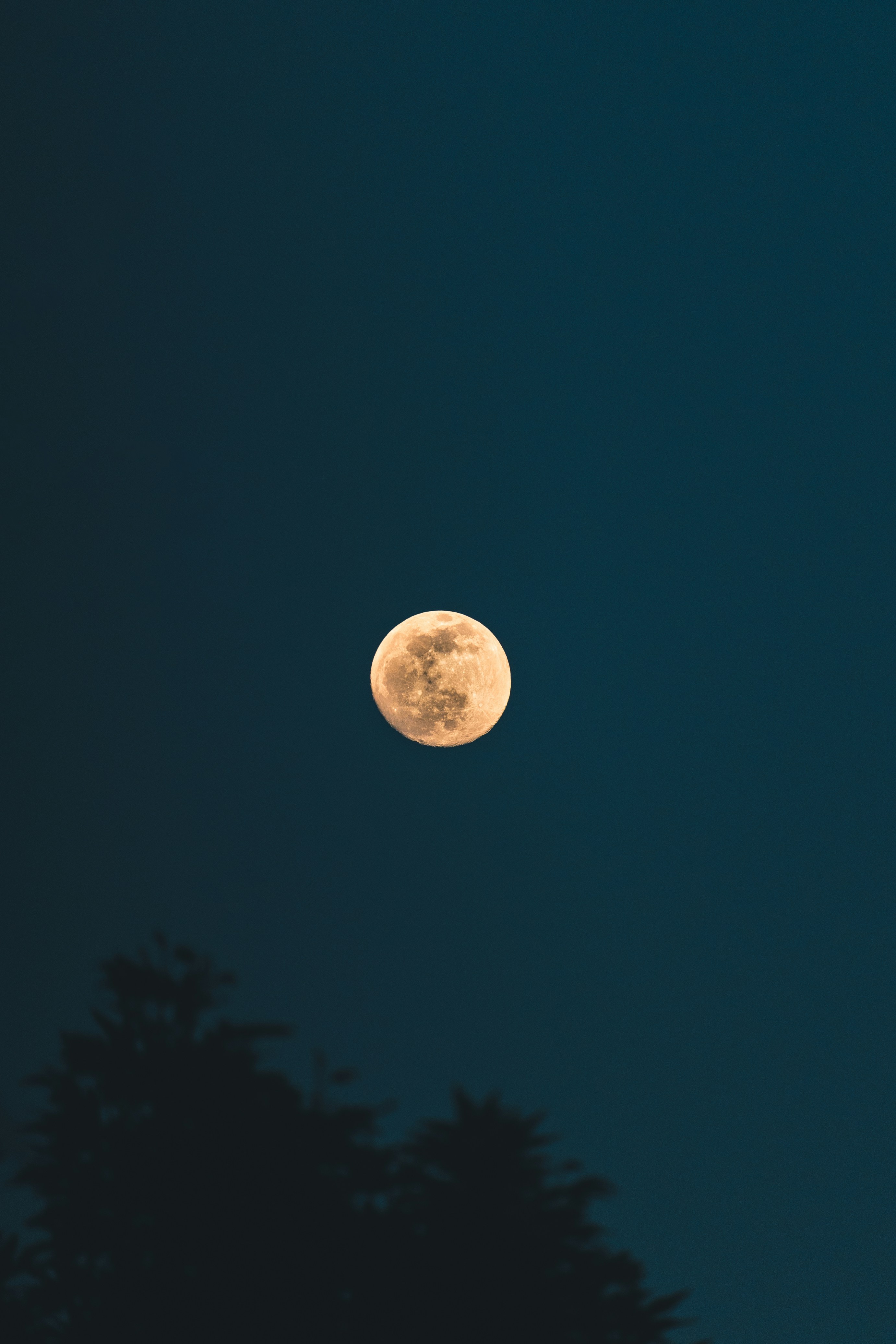 Photo by behy_studio