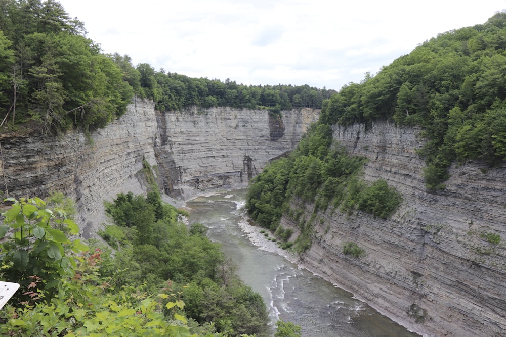 a river flowing through a canyon surrounded by lush green trees