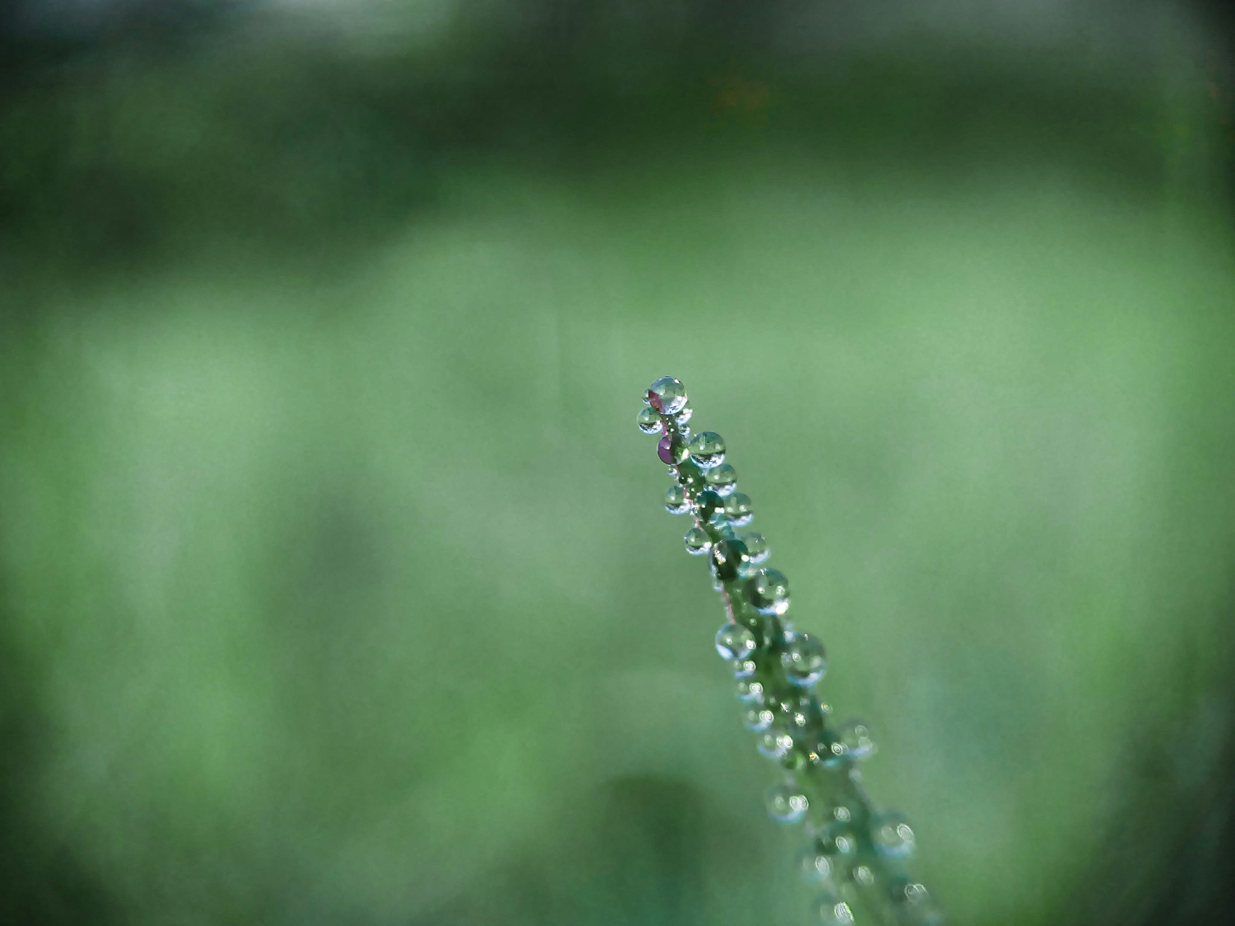 Photo by shahadatrafi2040