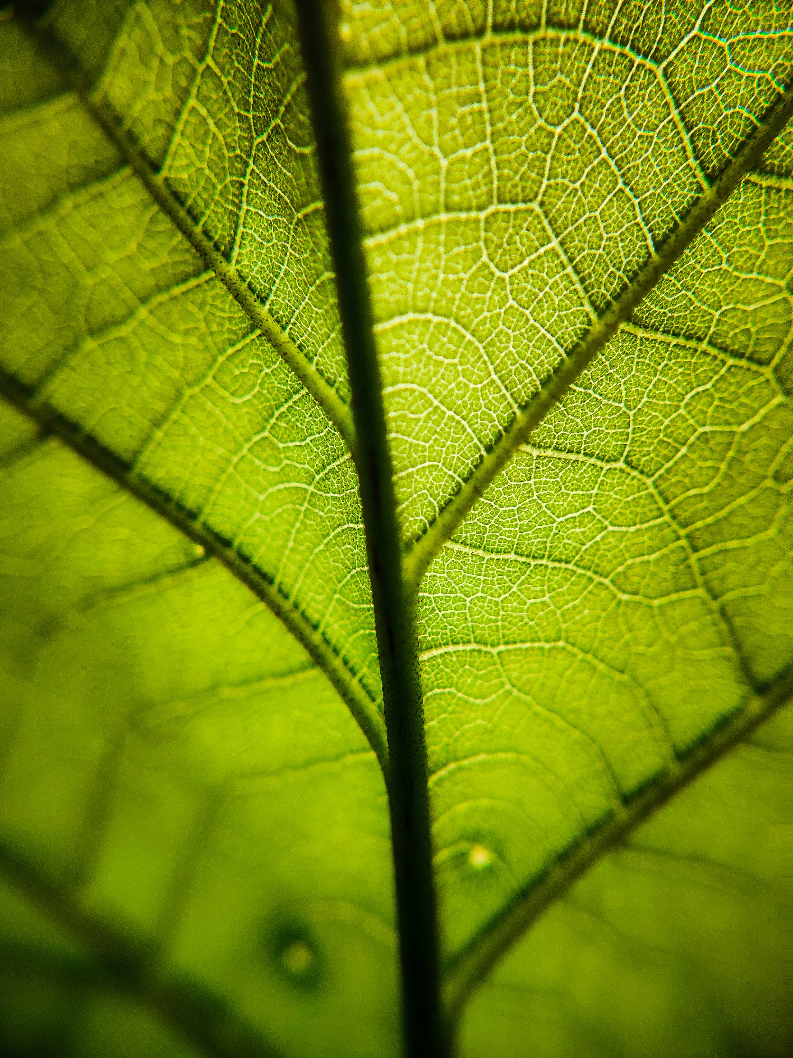 Photo by navi_photography