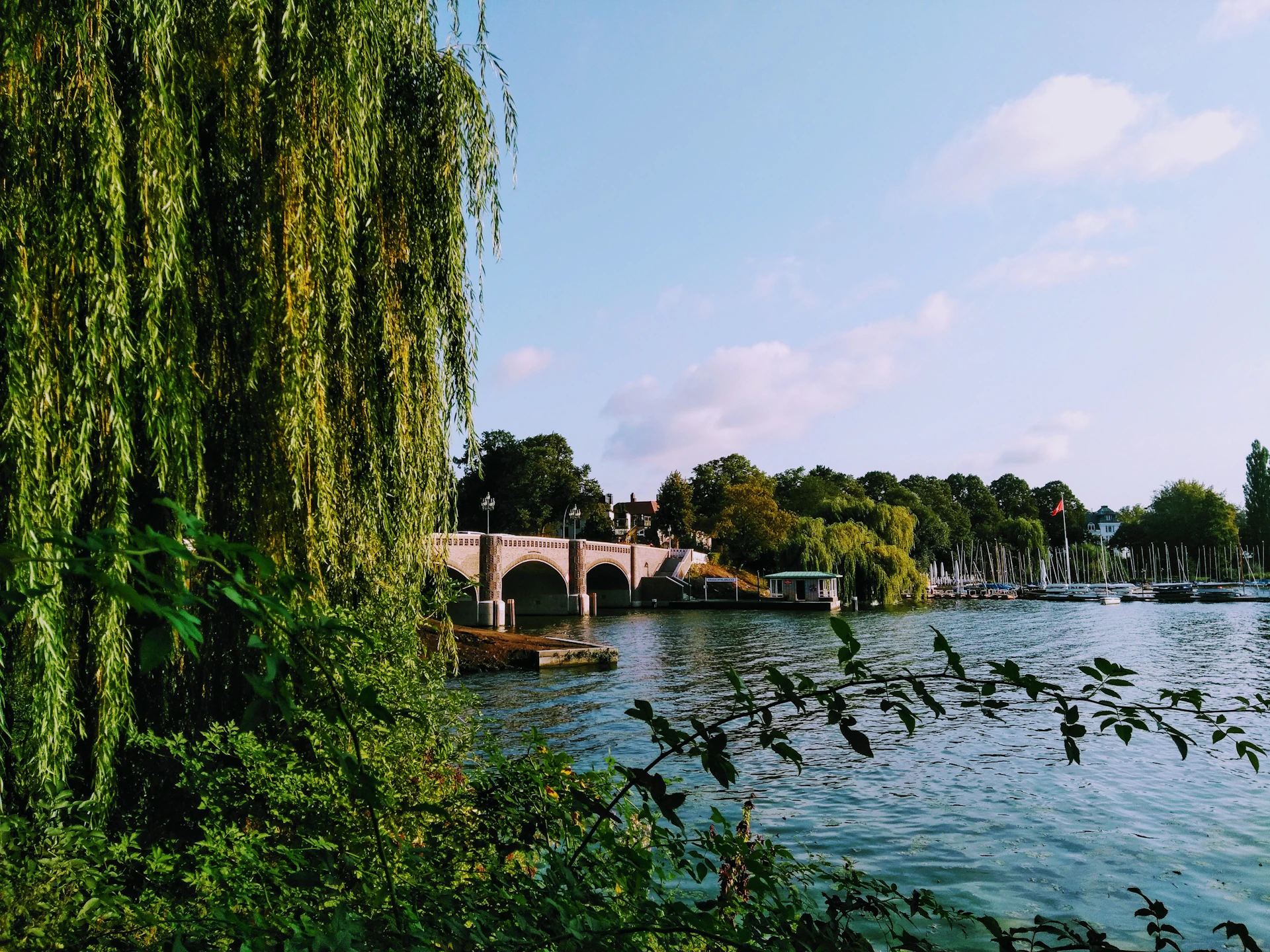 a bridge over a body of water surrounded by trees