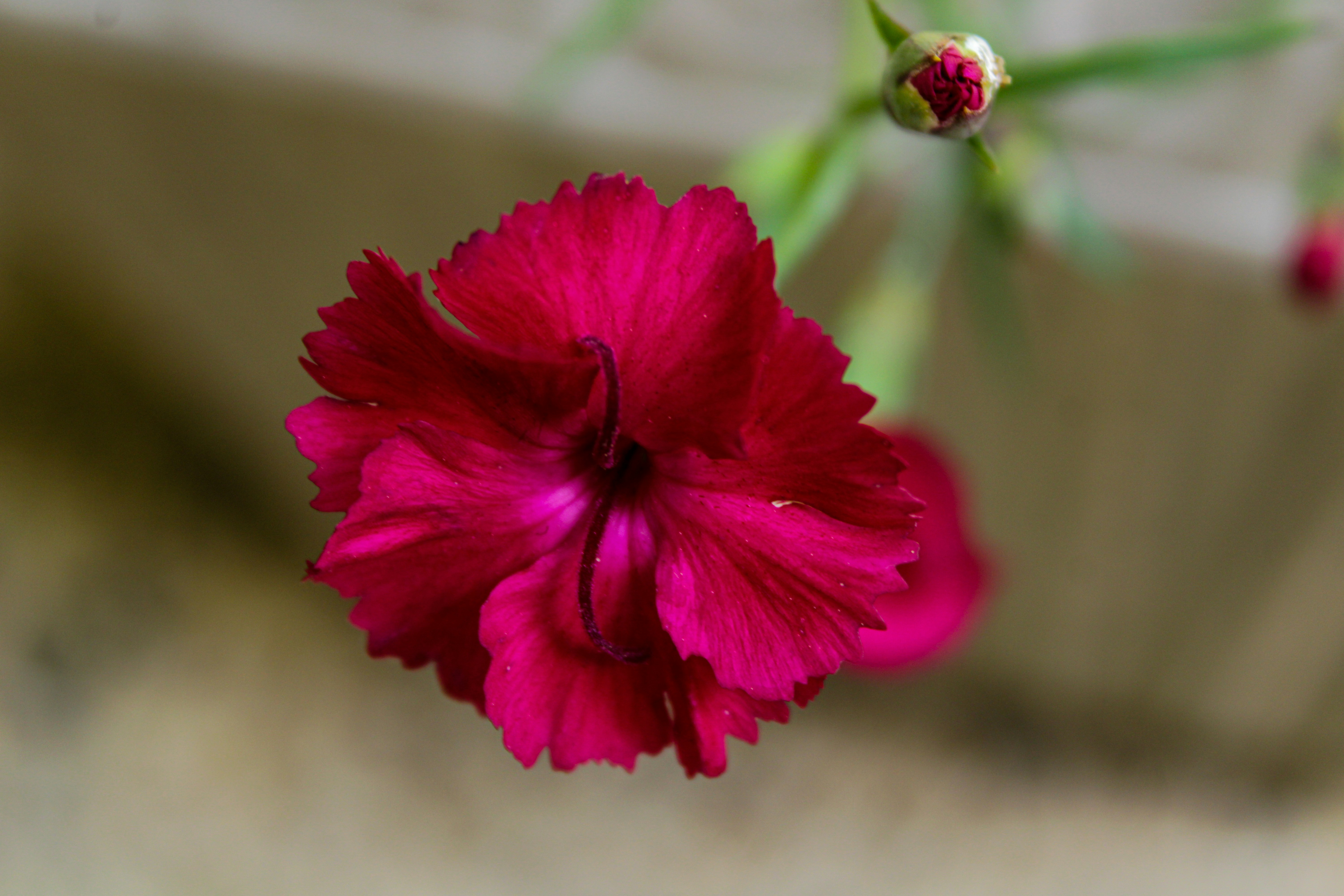 Photo by ashlynnephotos