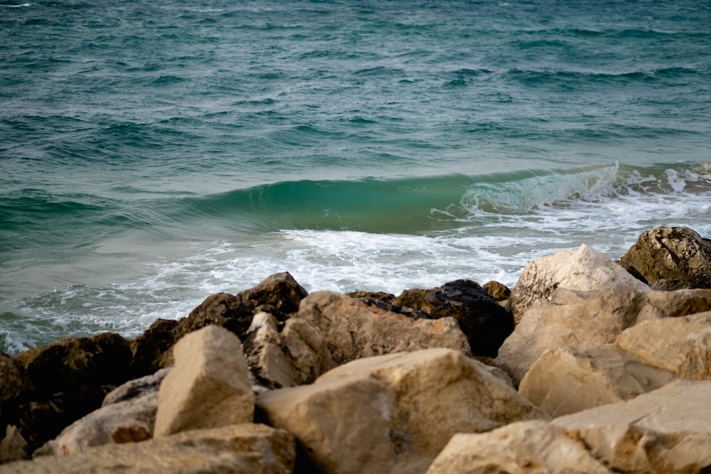 a close up of a rock next to a body of water