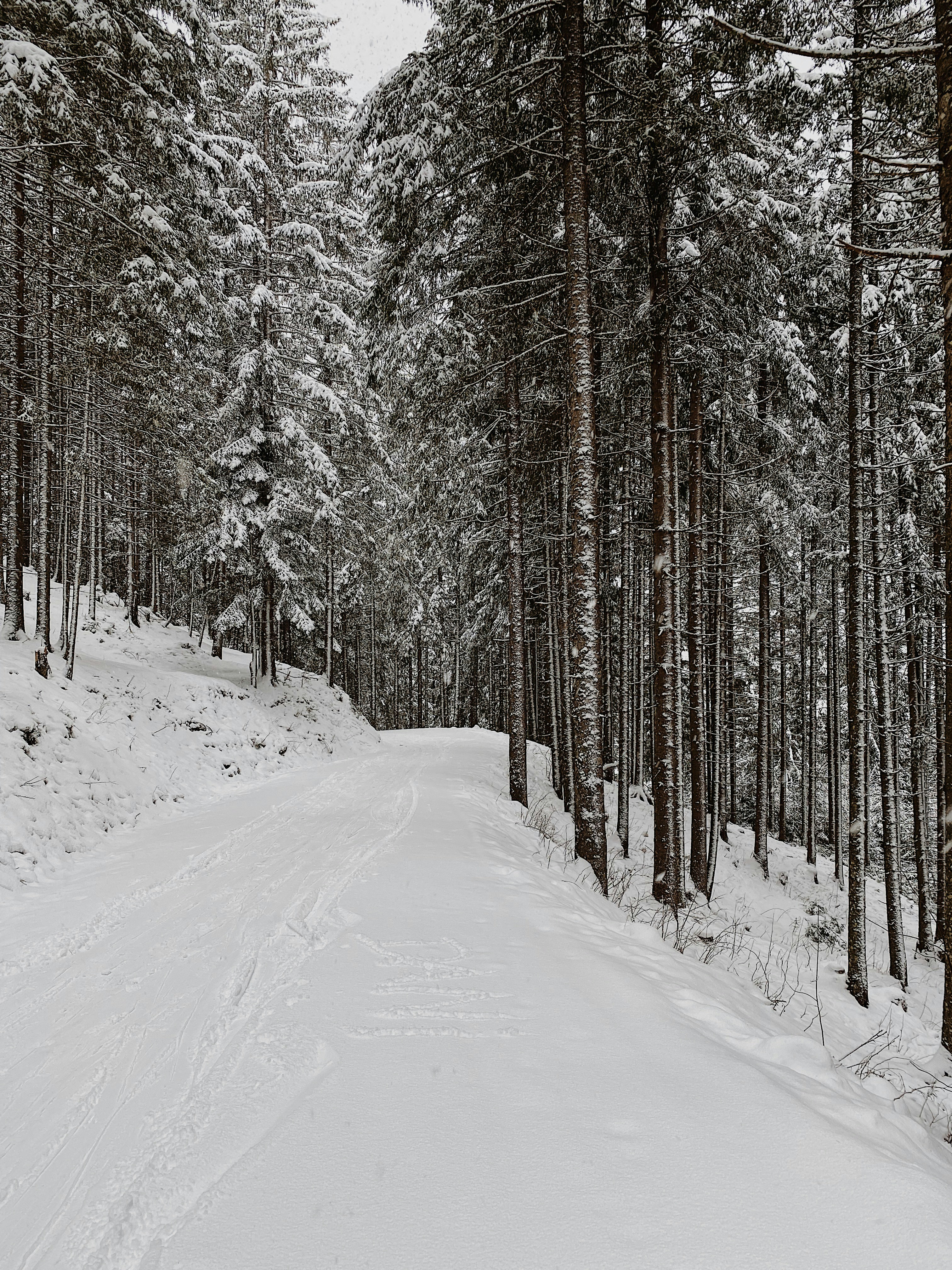 Photo by e_christensen