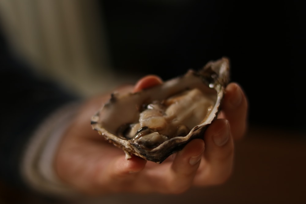 a person holding a half eaten oyster in their hand