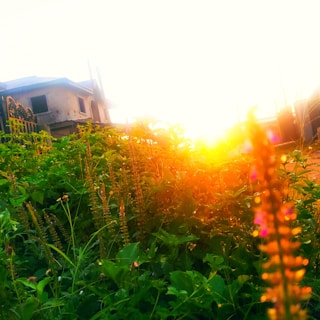 Sunlight casting warm hues over a spacious, empty plot marked for residential development.