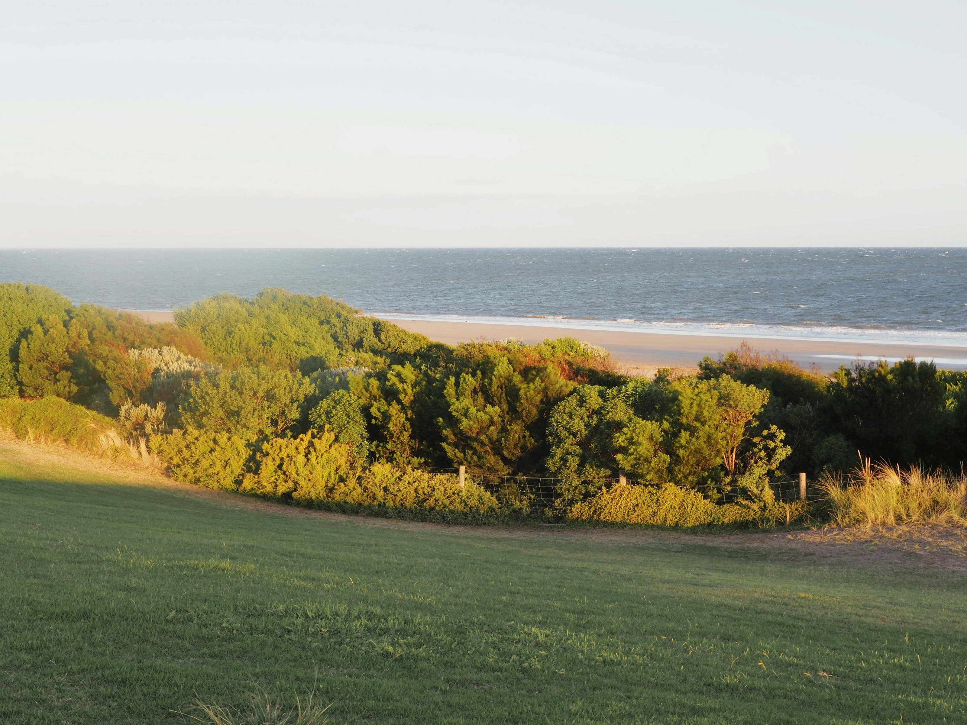 Photo by cristineenero