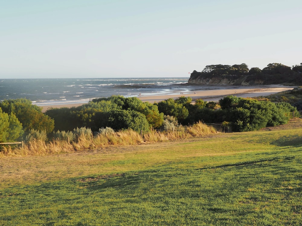 a grassy field next to a body of water