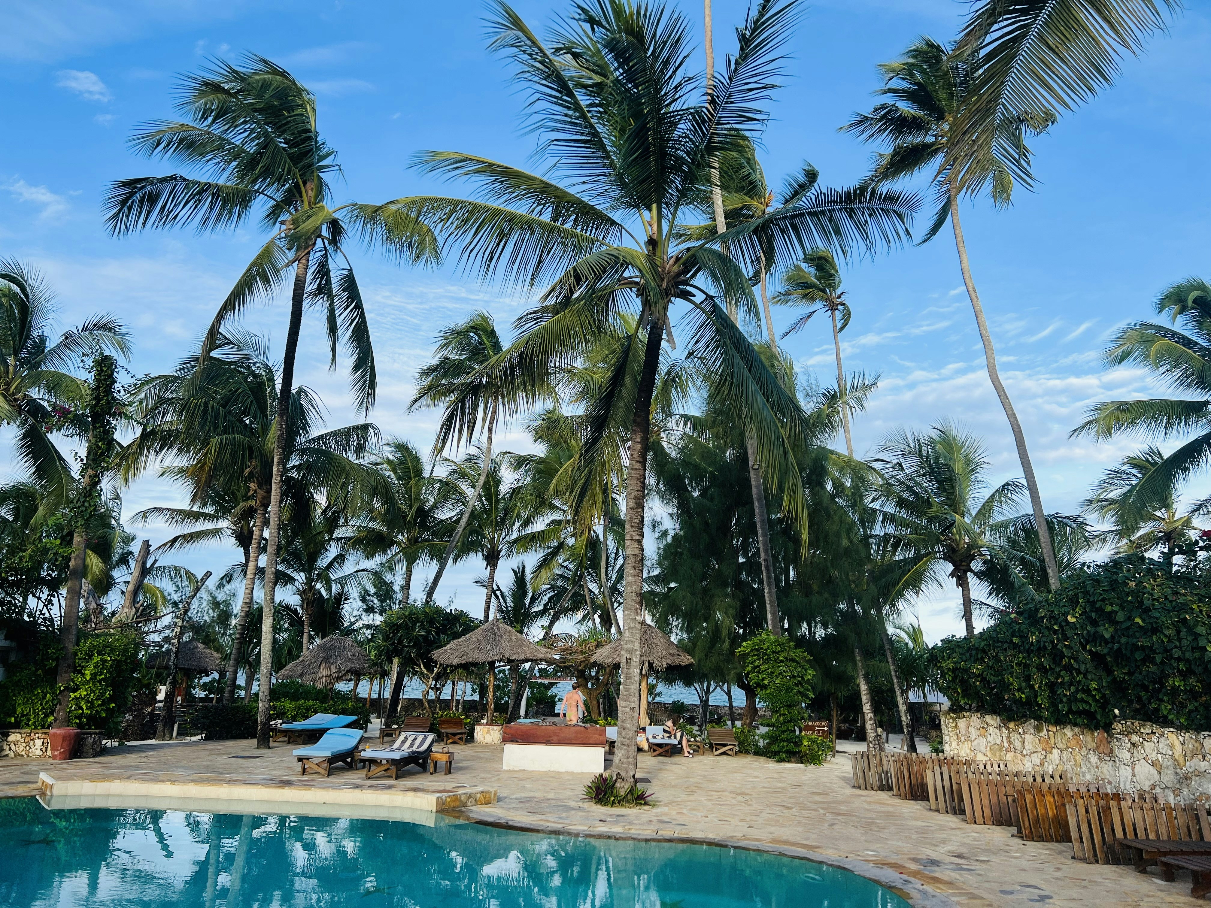 Photo by mrmostafa_tahoon