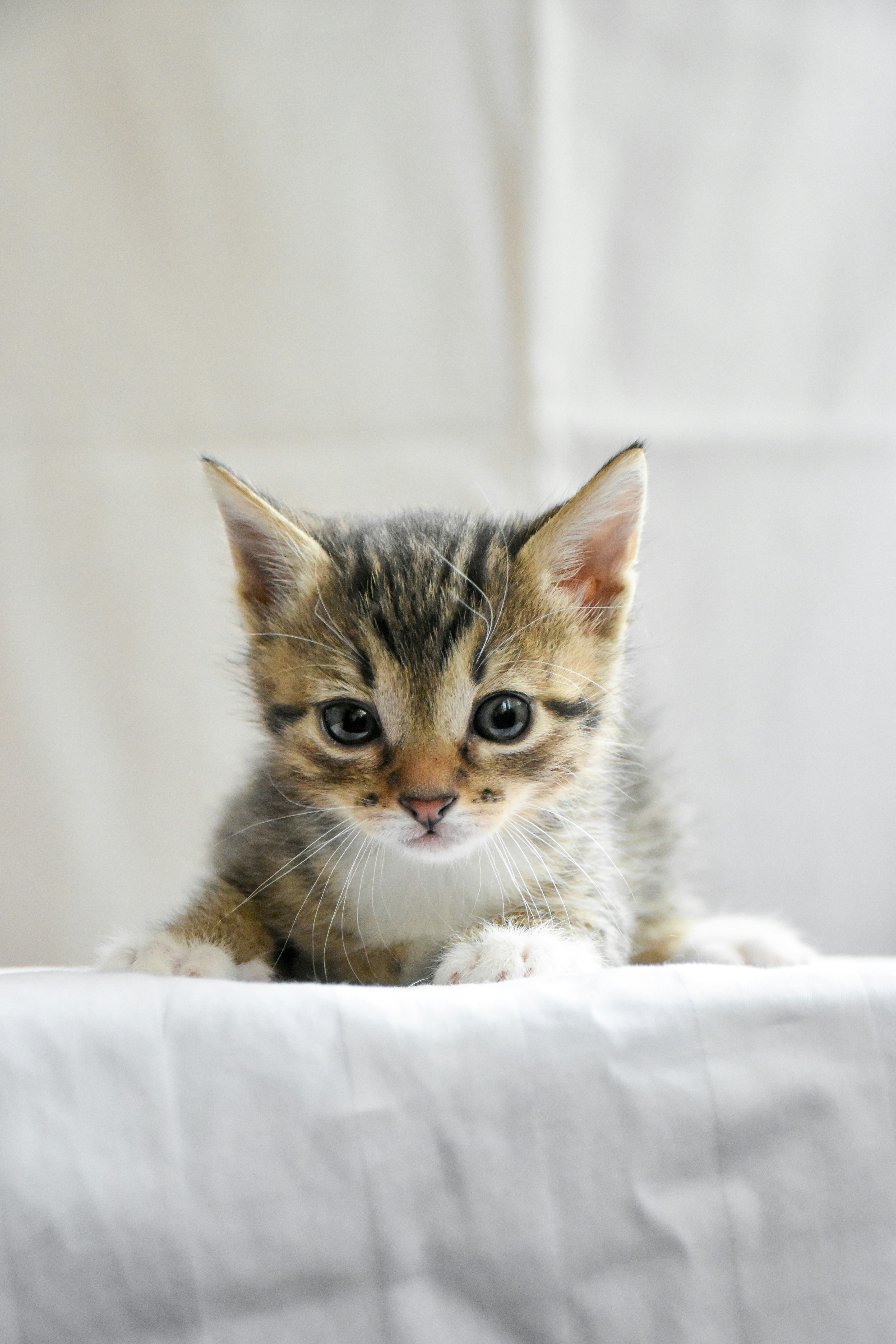 Photo by artem_makarov