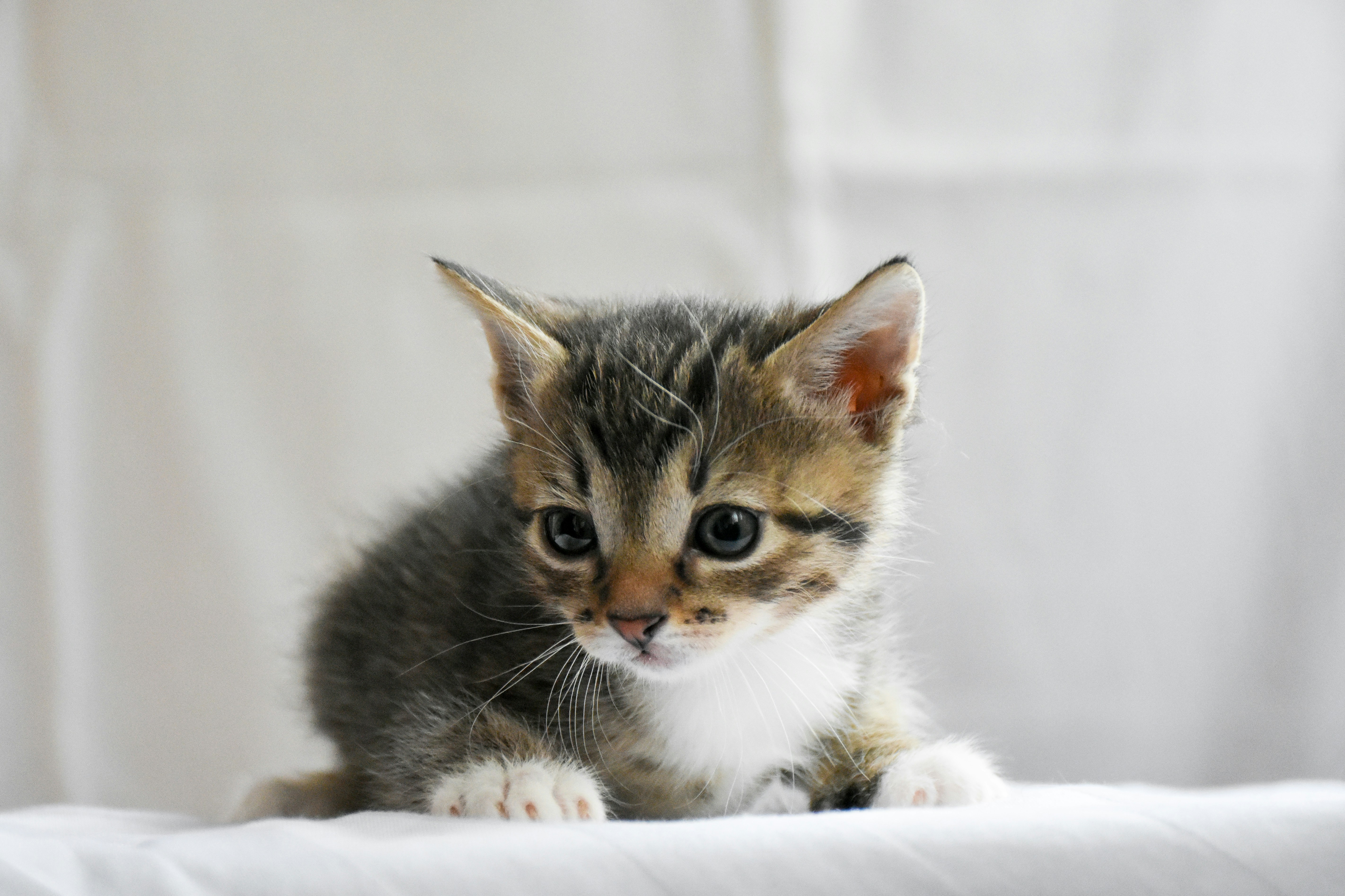 Photo by artem_makarov