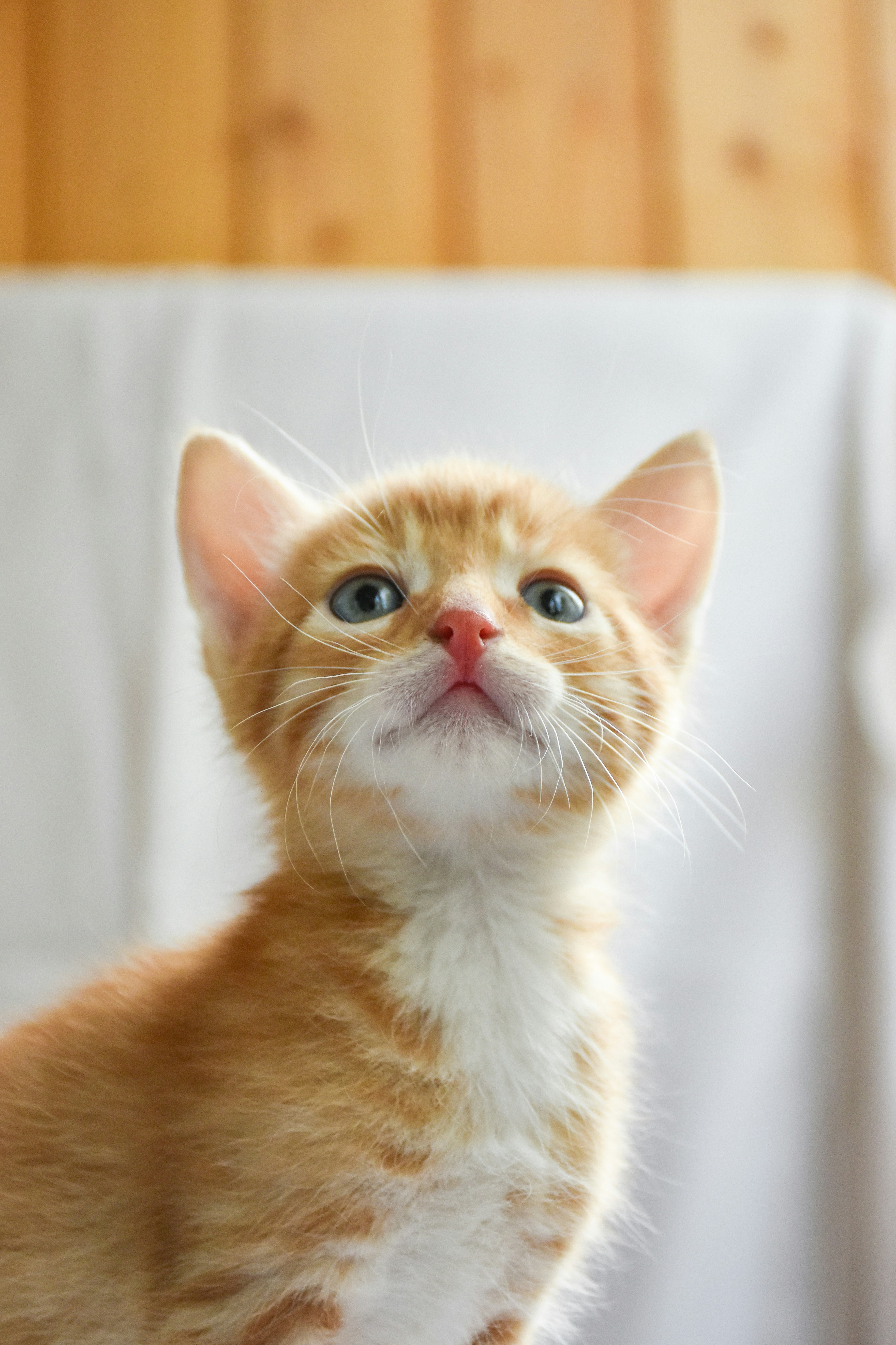 Photo by artem_makarov