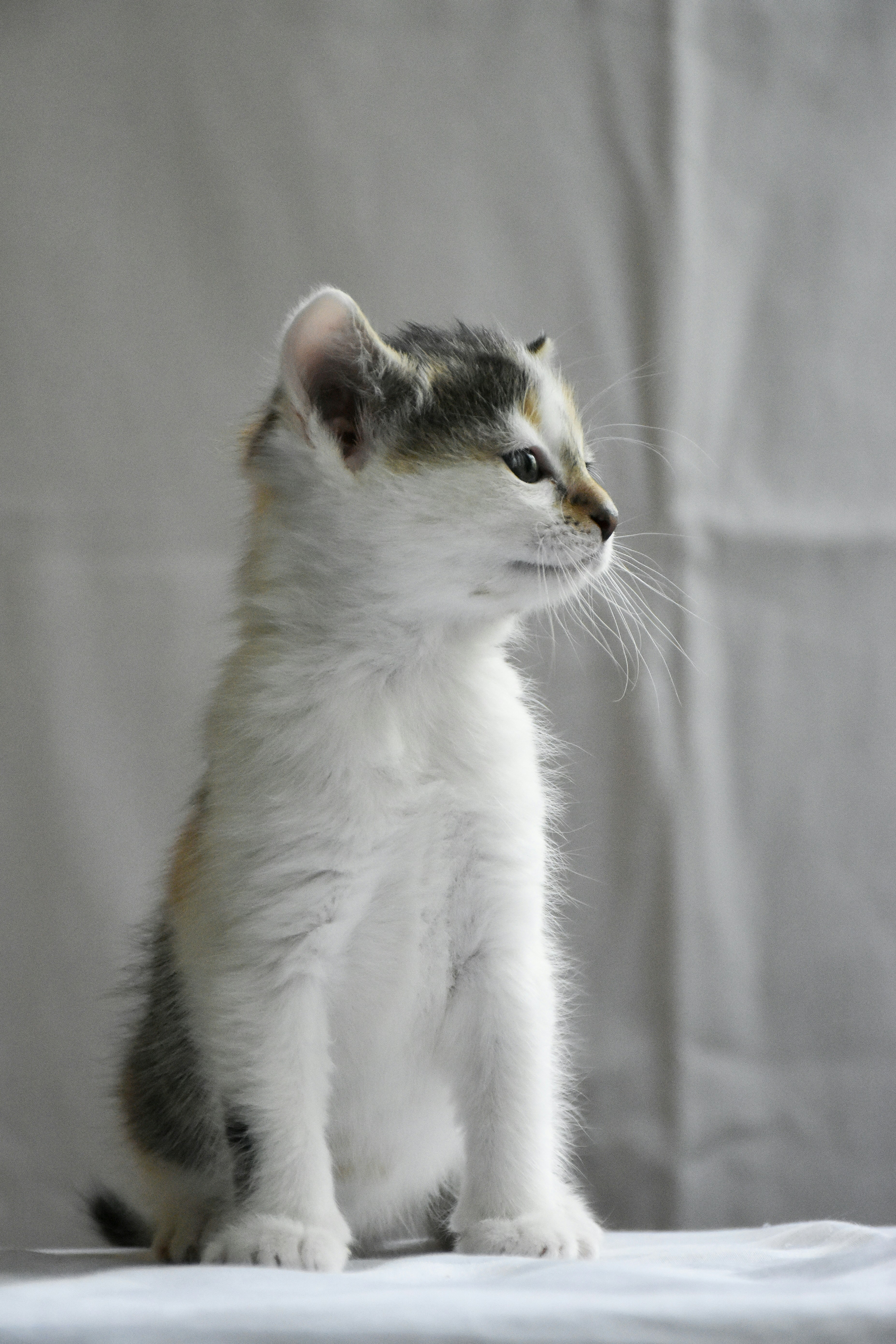 Photo by artem_makarov