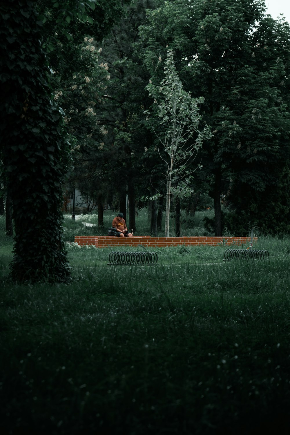 a person sitting on a bench in a park