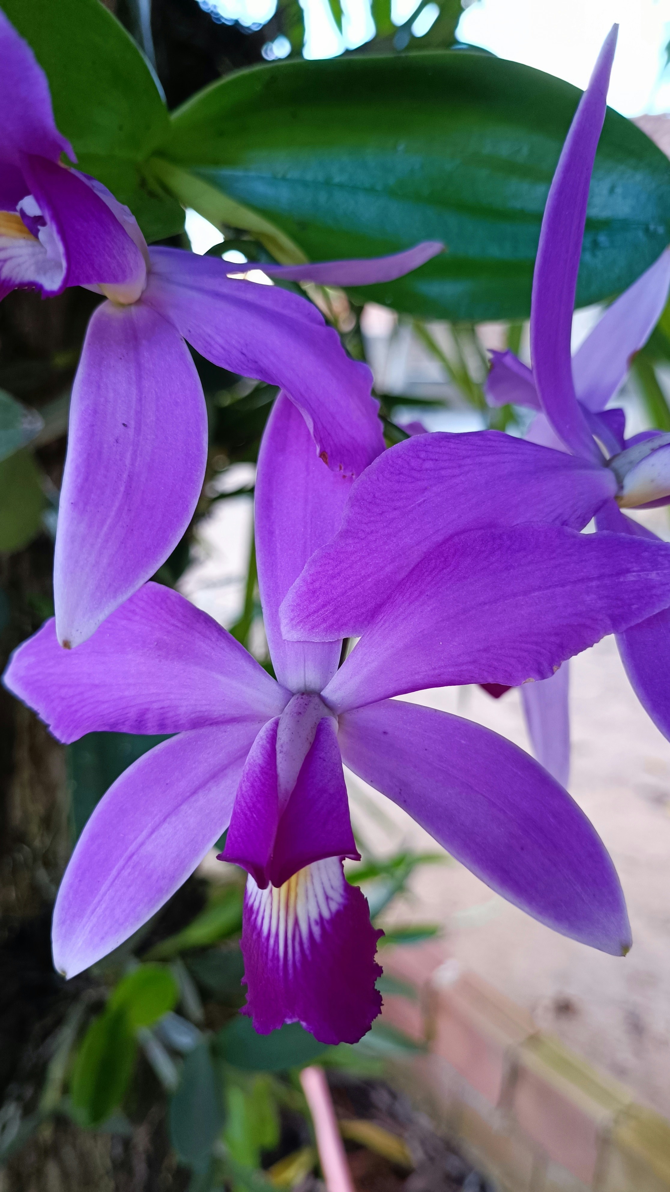 Photo by dienyportinanni