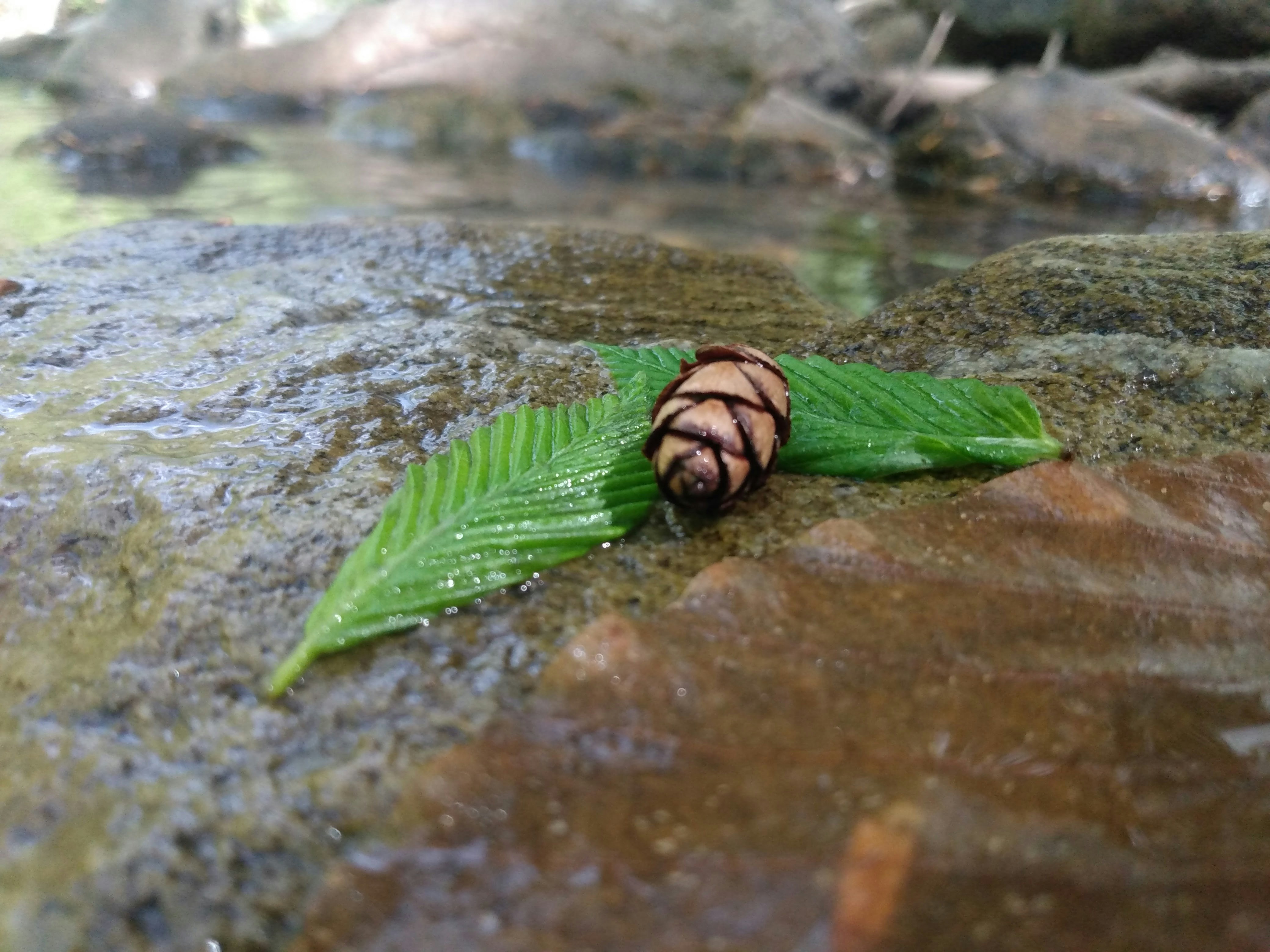 Photo by grimmie_and_ghostlie