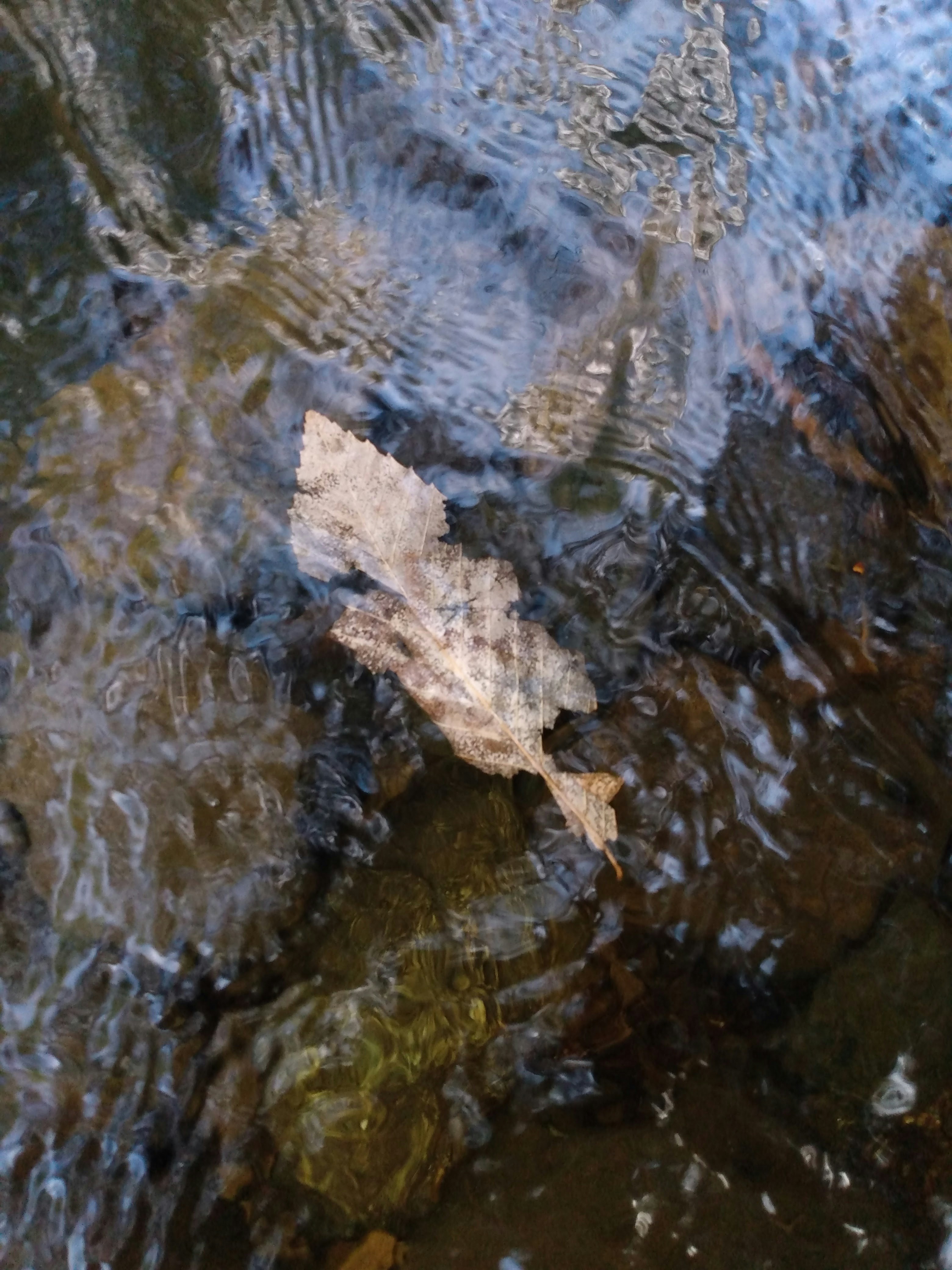 Photo by grimmie_and_ghostlie