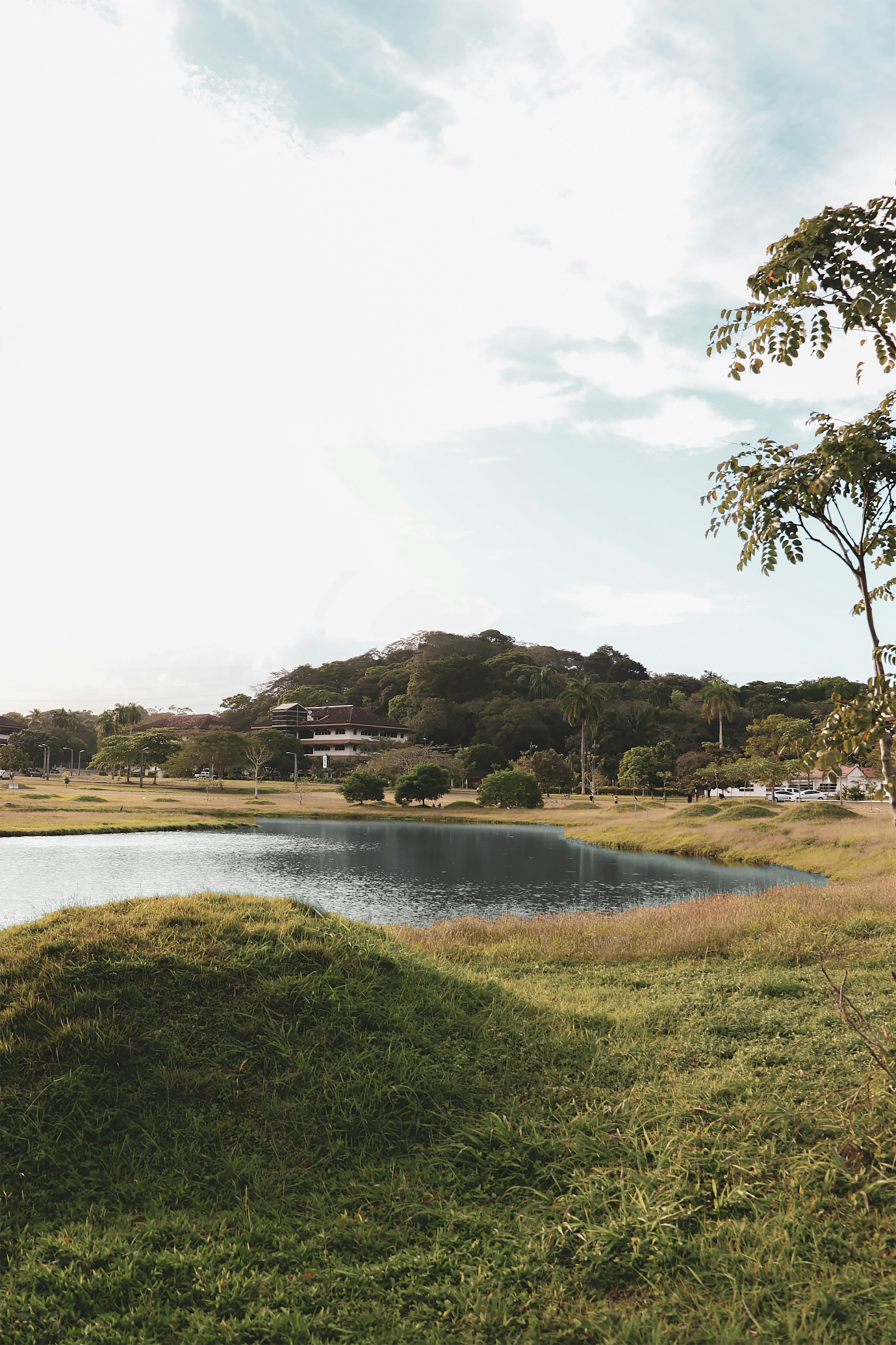 Photo by luigilomedico