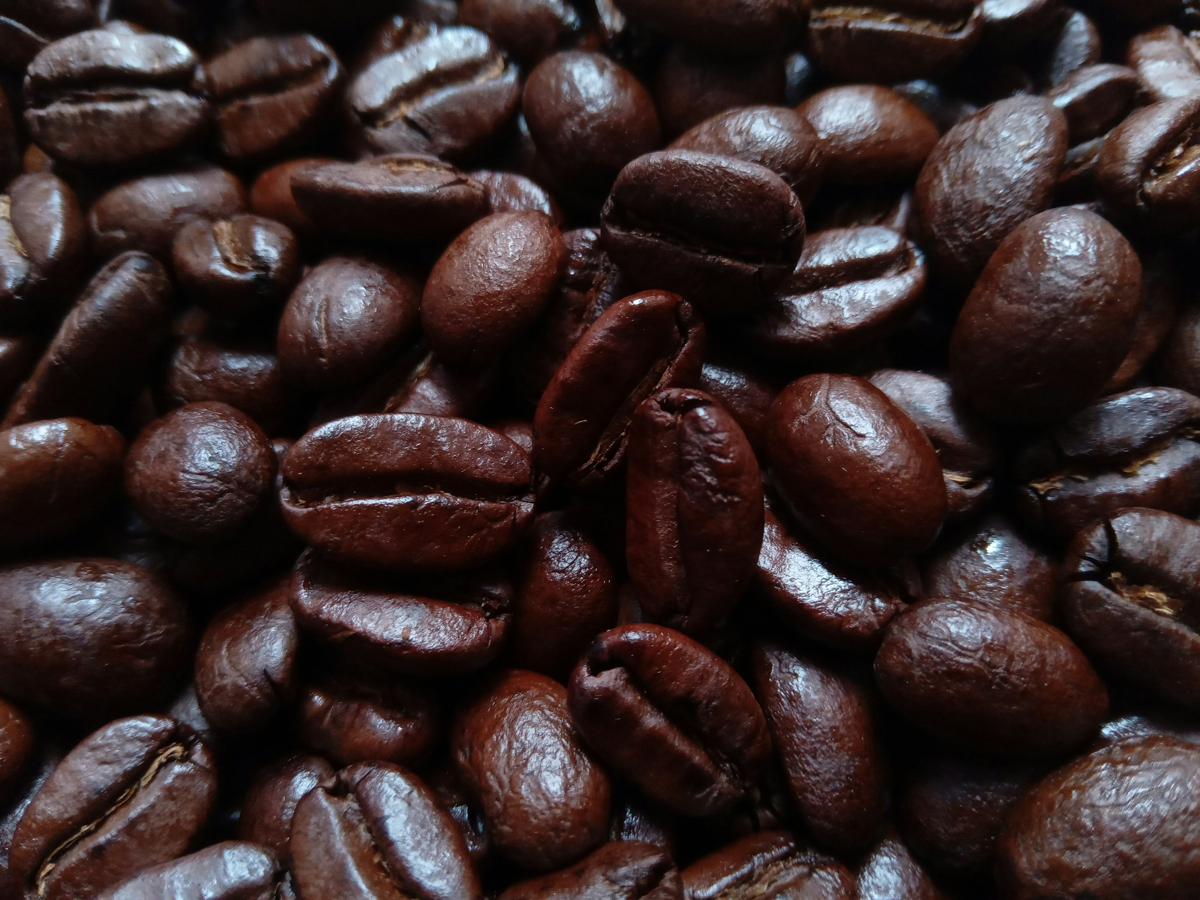 Photo by indraprojects