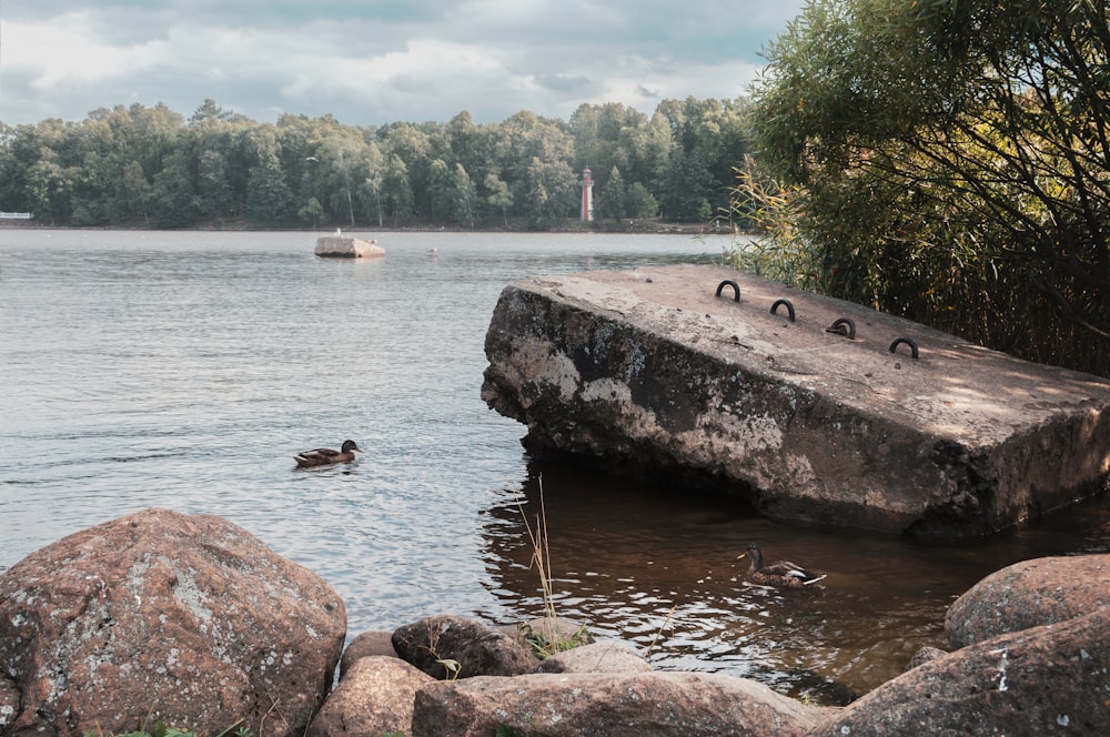 a large rock sitting on top of a lake next to a forest