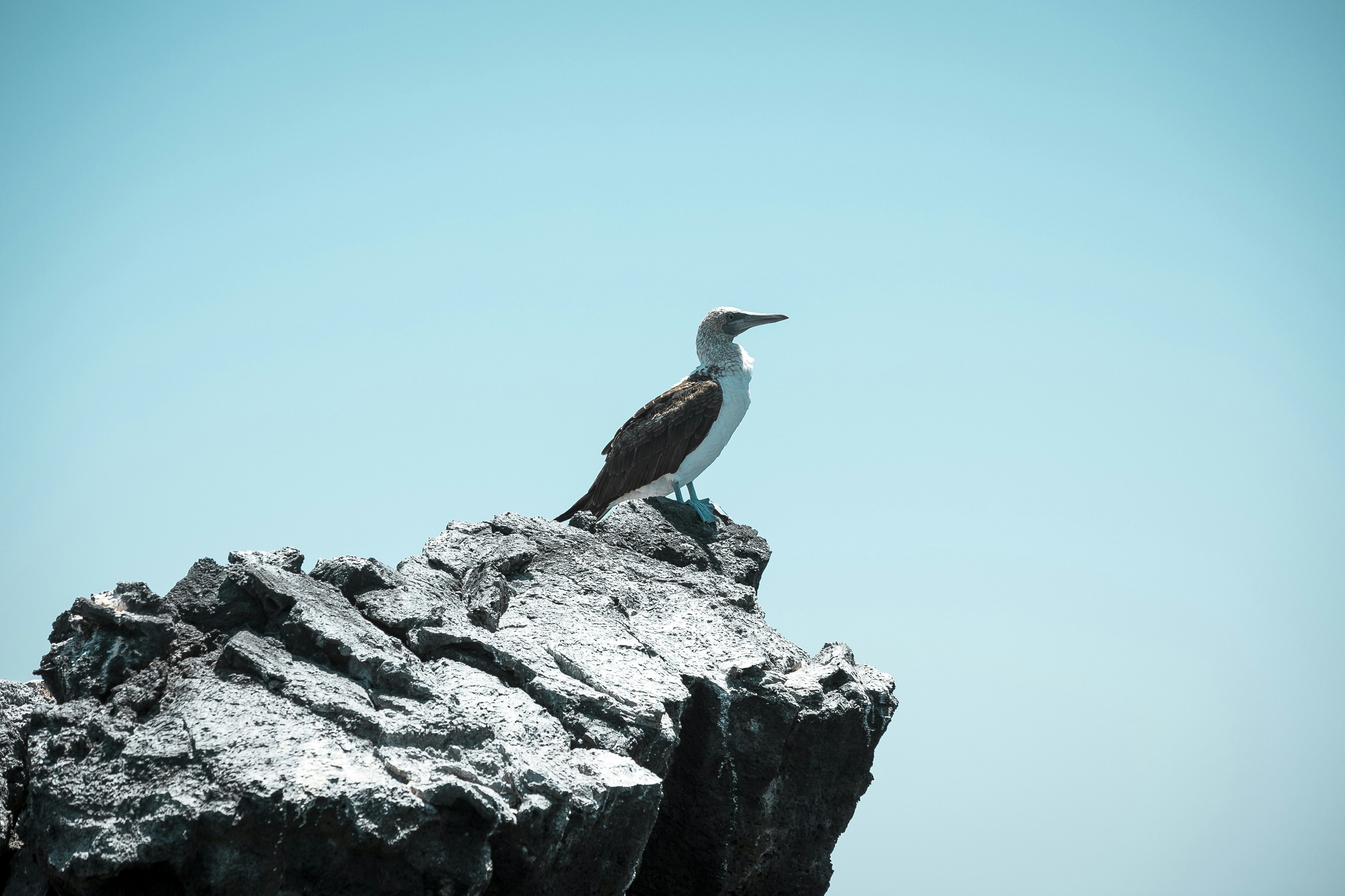 Photo by gisellefiallo