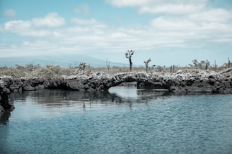 a body of water with a bridge over it