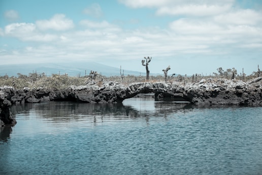 a body of water with a bridge over it
