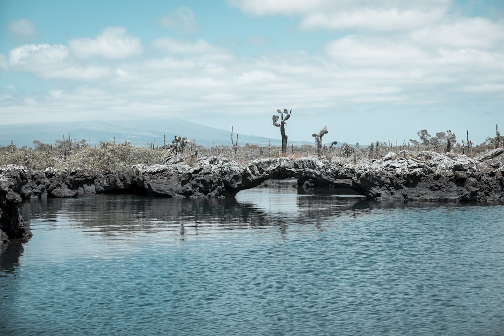 a body of water with a bridge over it